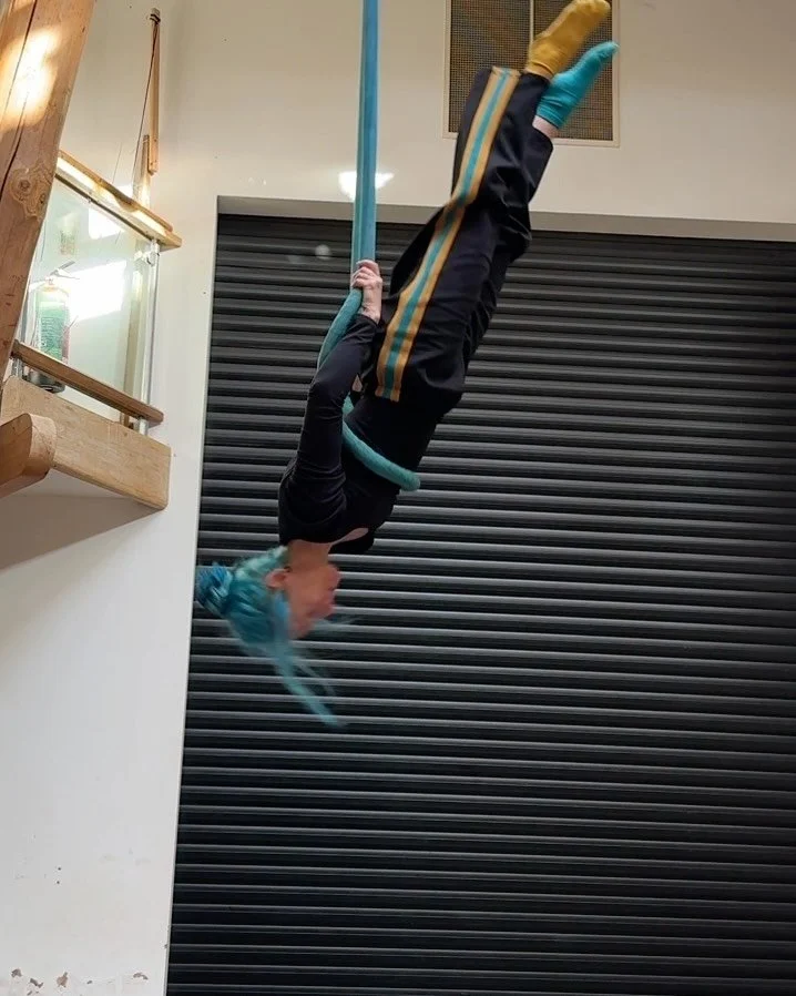 November in close ups, zooms, hyperfocus, weird lights and bad pans (pun intentional). 

Feat. the usual in no particular order:
Aerial dangling (obvs) @smallworldbydbach 
Coast path dangling
Pony
Saluki
Spider
Mushrooms
Loofahs
Dust motes
Big lights