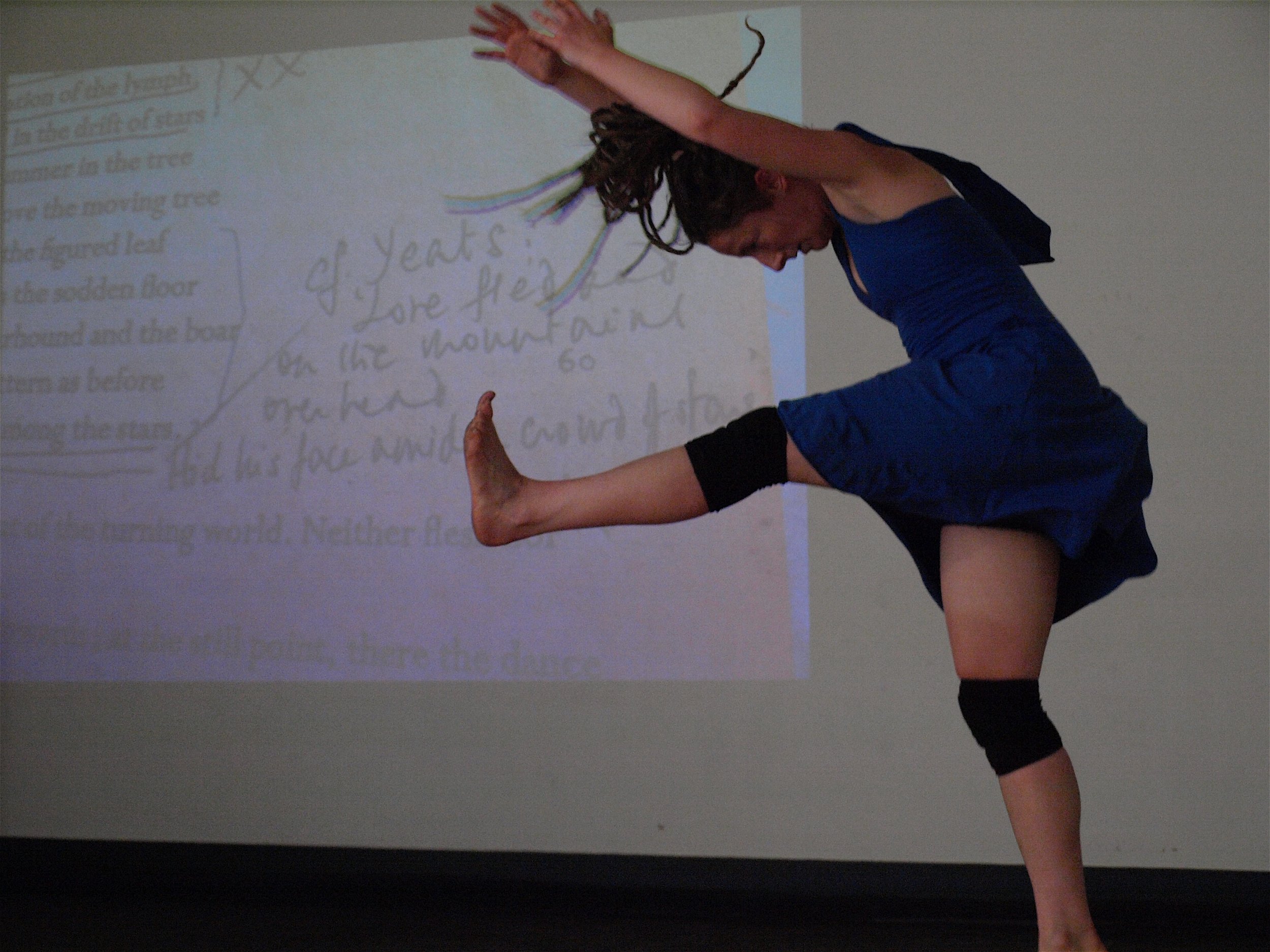 Little Bird, Bluecoat 2011.jpeg