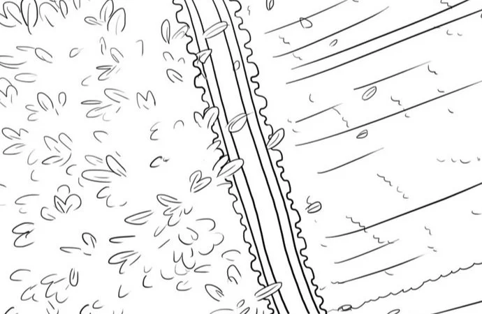 Leaves, Interrupted