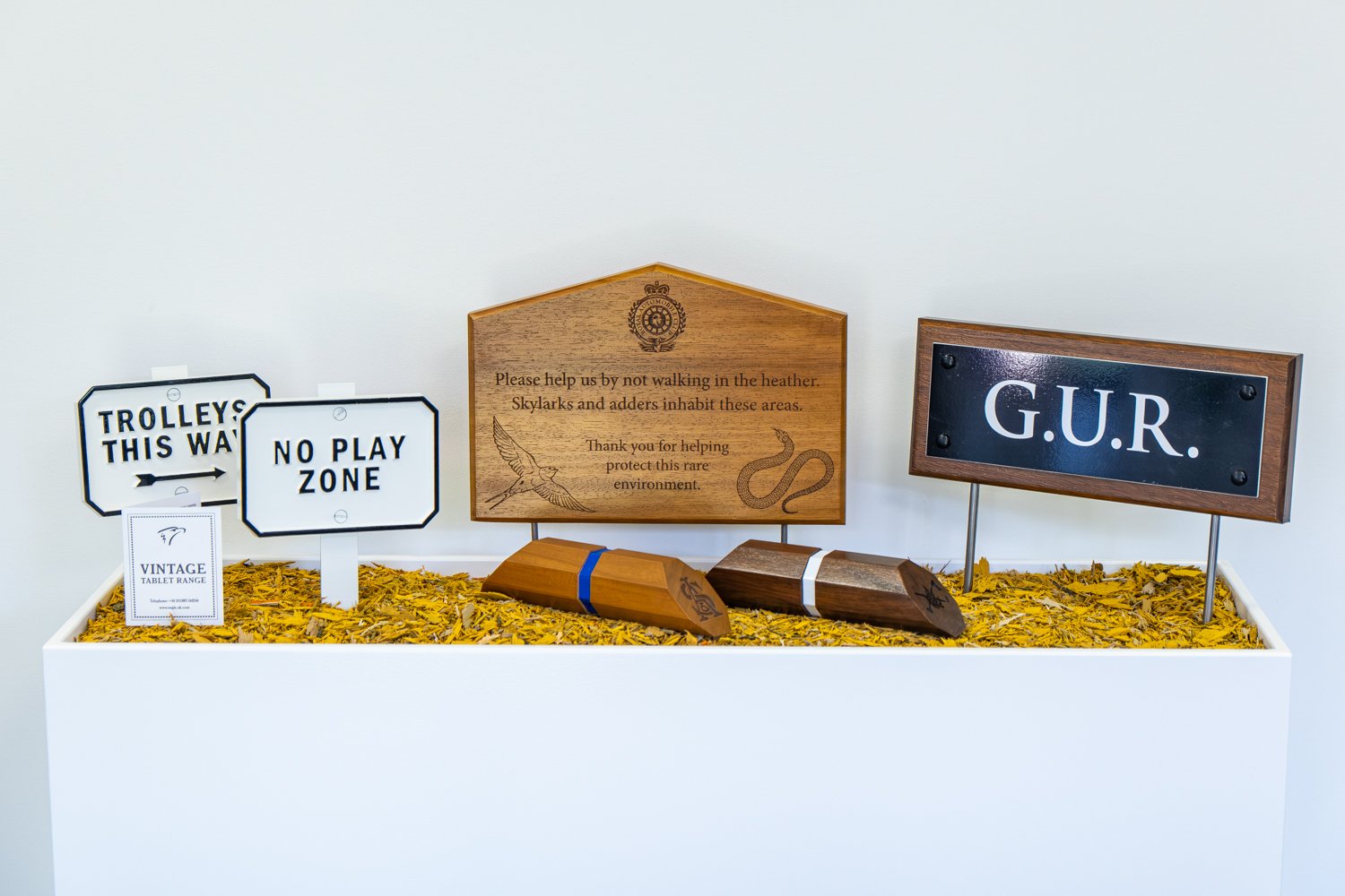 DSCF3892-Enhanced-NR-2 Web.jpg