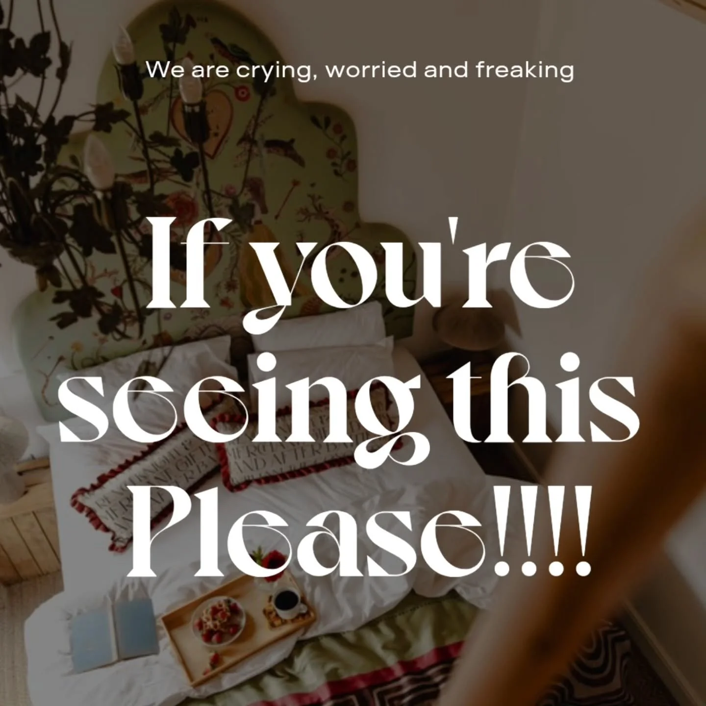 Please follow our new account @hellohesdin !!!!
We pay as a verified account for enhanced support. Nearly £300 month.
So far they've not helped. Something very bad is happening on this handle.
Every thing we've worked so so so hard for might