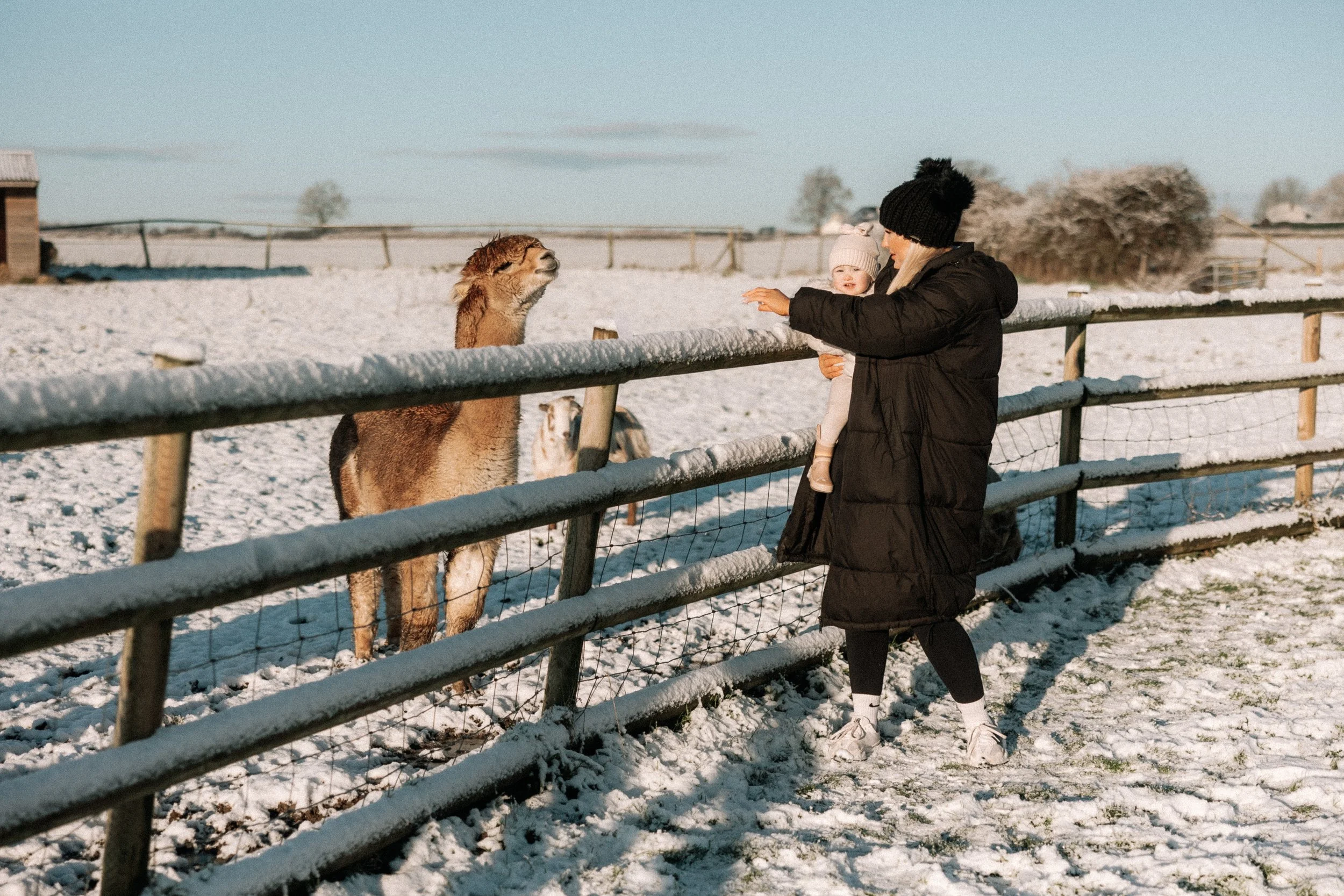 The 48 Hour Rule: Why It Takes Two Full Days to Truly Decompress from City Life