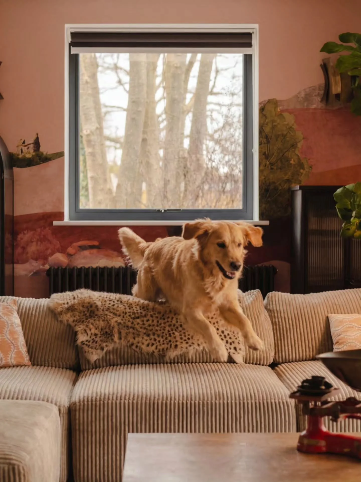 Like adults there are two types of dogs we allow at The Hesdin Estate- excitable ones who want to play, have fun and catch up with everyone and chilled ones who want to sleep and get away from life. Which one are you?

The Hesdin Estate is the ultima