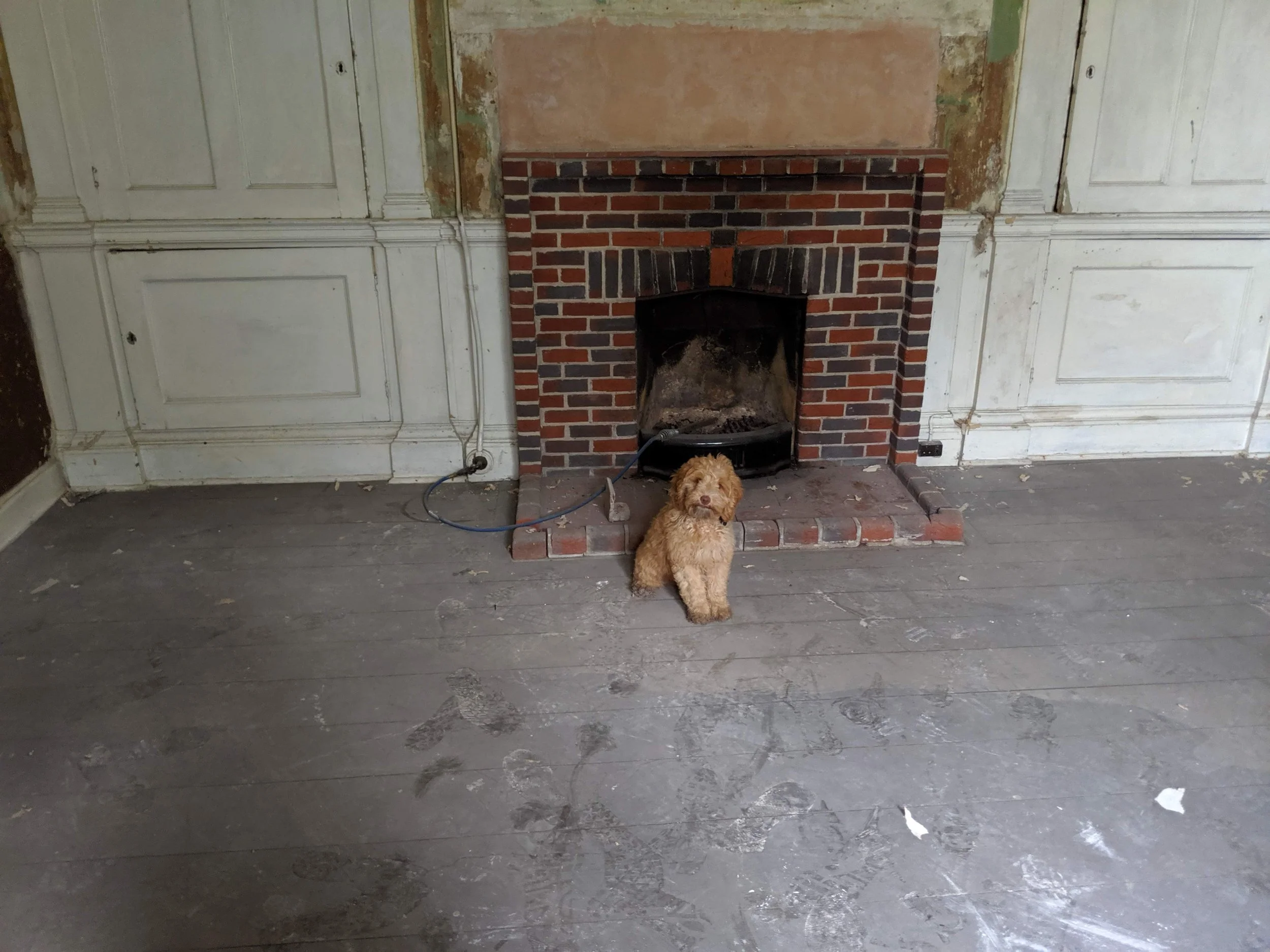 MVIMG_20190809_164232.jpg