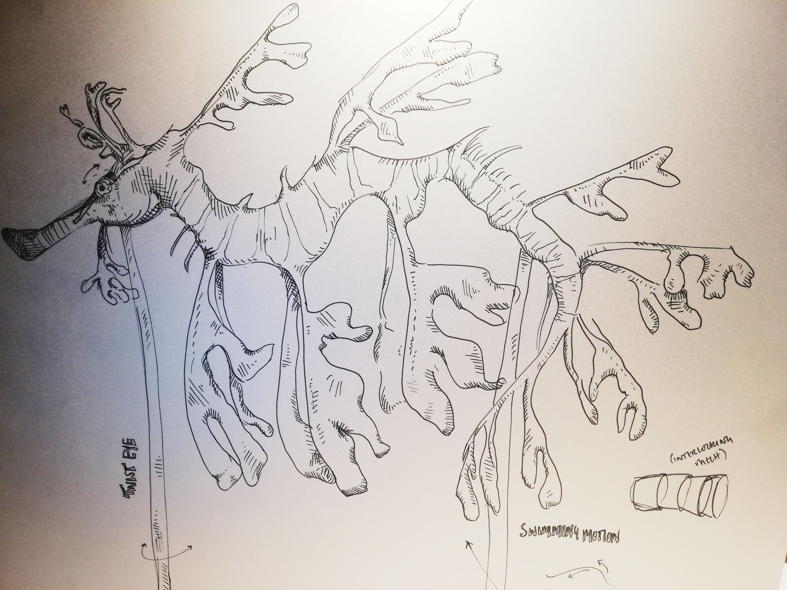 2020-05-27 11.40.03 1.jpg