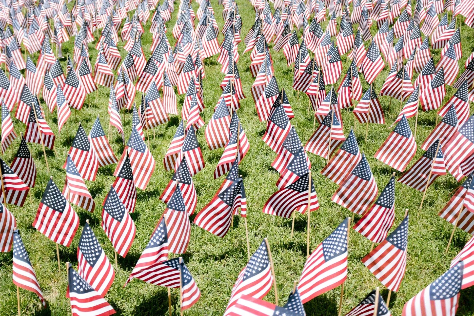 veterans services pickaway county with a field of american flags in grass