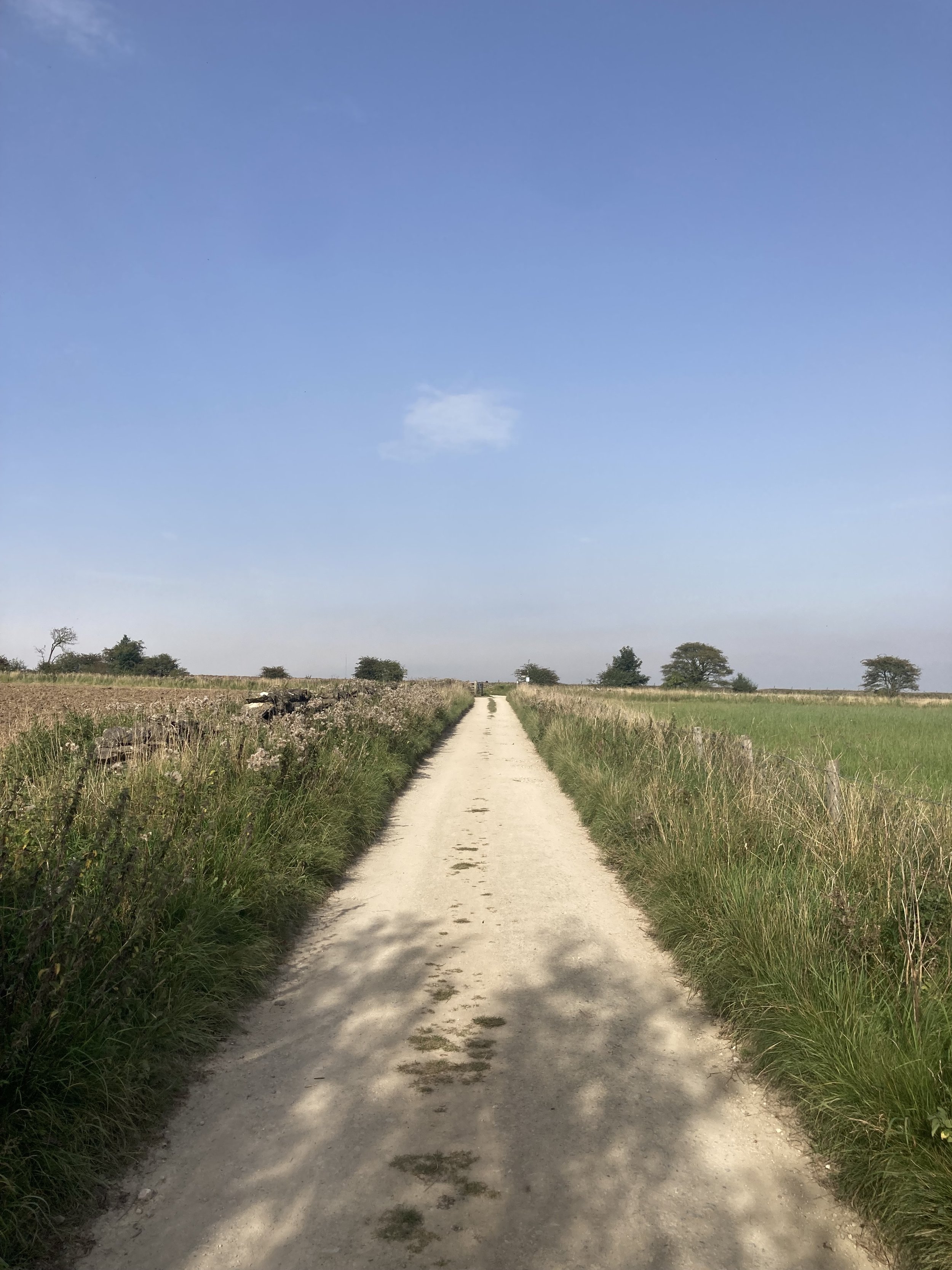 IMG_2906.jpeg