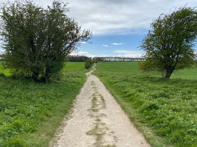 Chalk path up ridgeway.jpeg