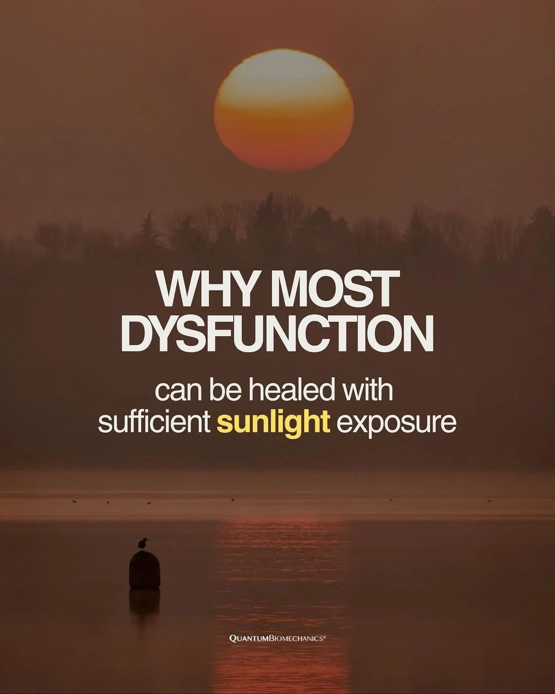 Repost from @quantumbiomechanics
&bull;
Most dysfunction happens due to lack of sunlight exposure.

Before the chronic fatigue, the persistent inflammation, the stiffness that never fully resolves, something more fundamental has already been depleted