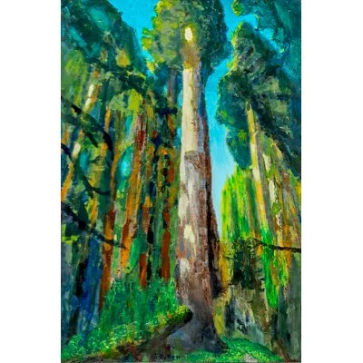 allen-big trees.jpg