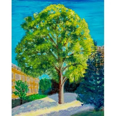allen-paris park maple.jpg