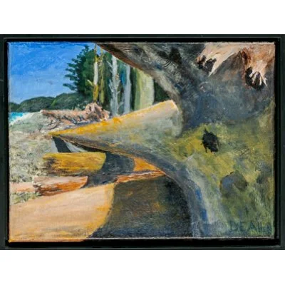 allen-rialto beach driftwood.jpg