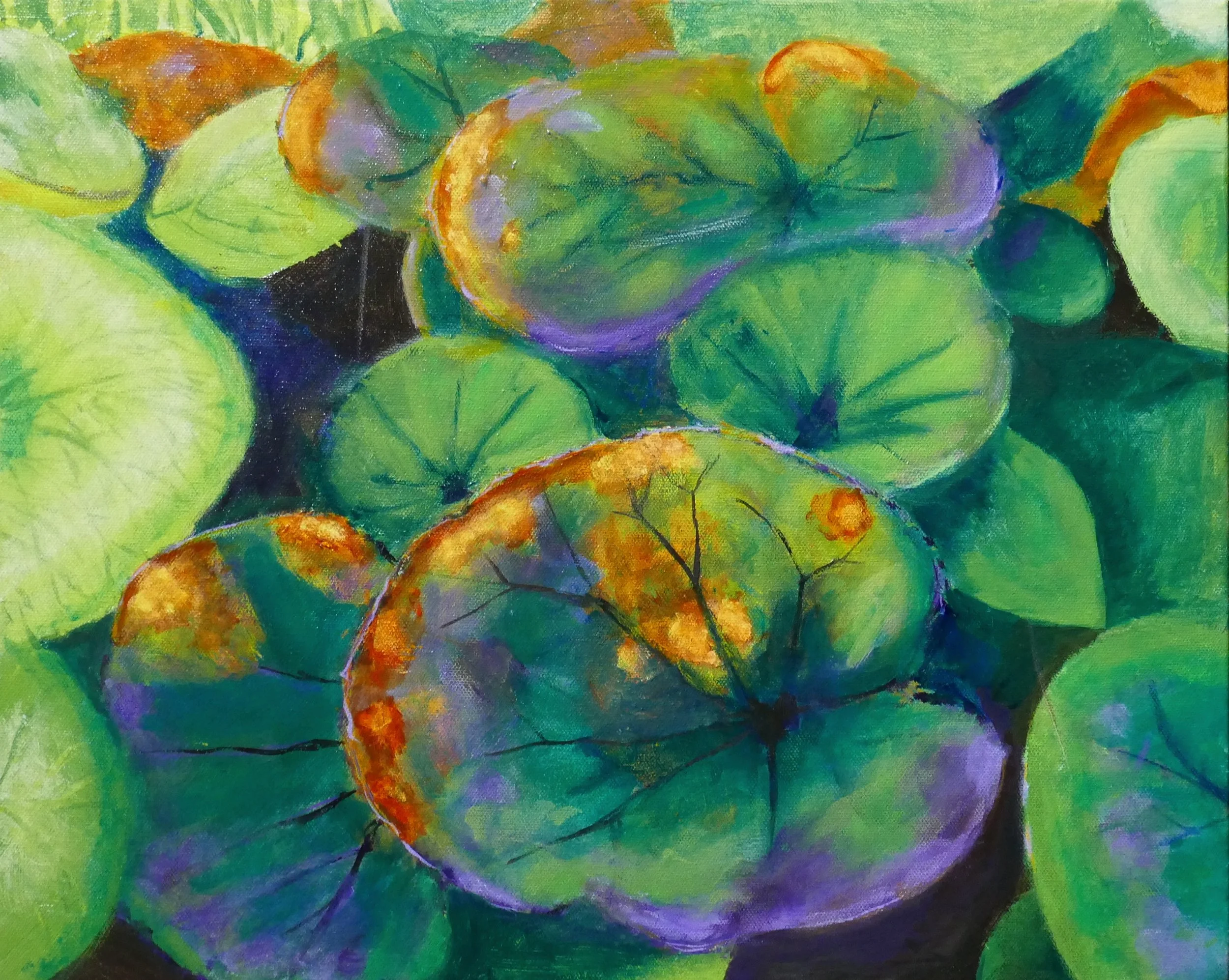 Light Through Butterbur Leaves 2