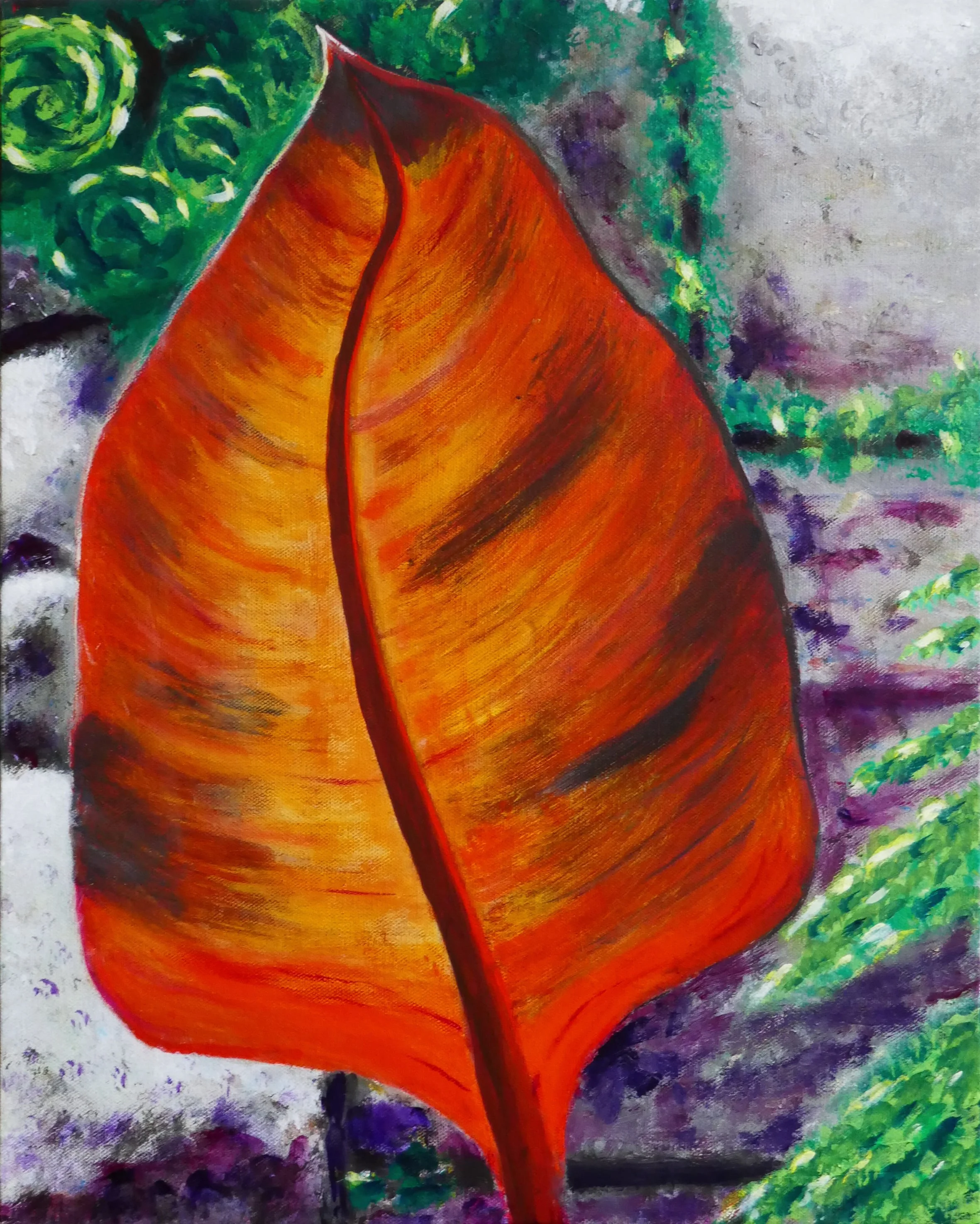 Backlit Canna Leaf