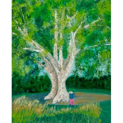 Walla Walla Plane Tree