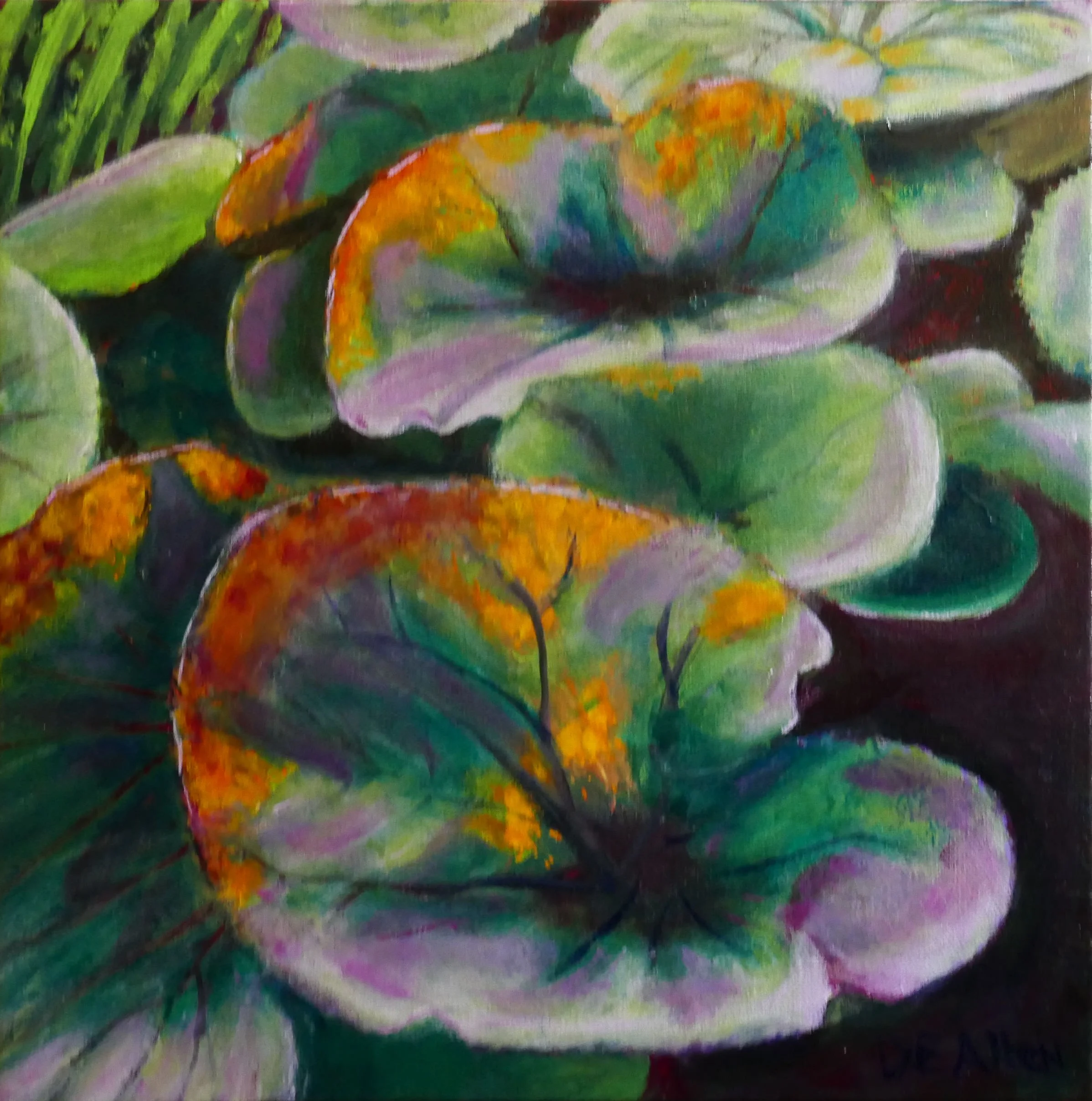 Light through Butterbur leaves