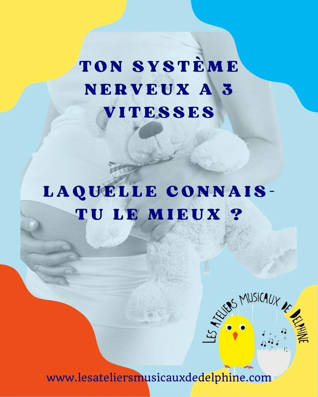 Ton syst&egrave;me nerveux a 3 vitesses. Et non, tu ne choisis pas laquelle s'active !!

La th&eacute;orie polyvagale du Dr Stephen Porges nous explique que notre corps bascule automatiquement entre 3 &eacute;tats selon ce qu'il per&ccedil;oit de son