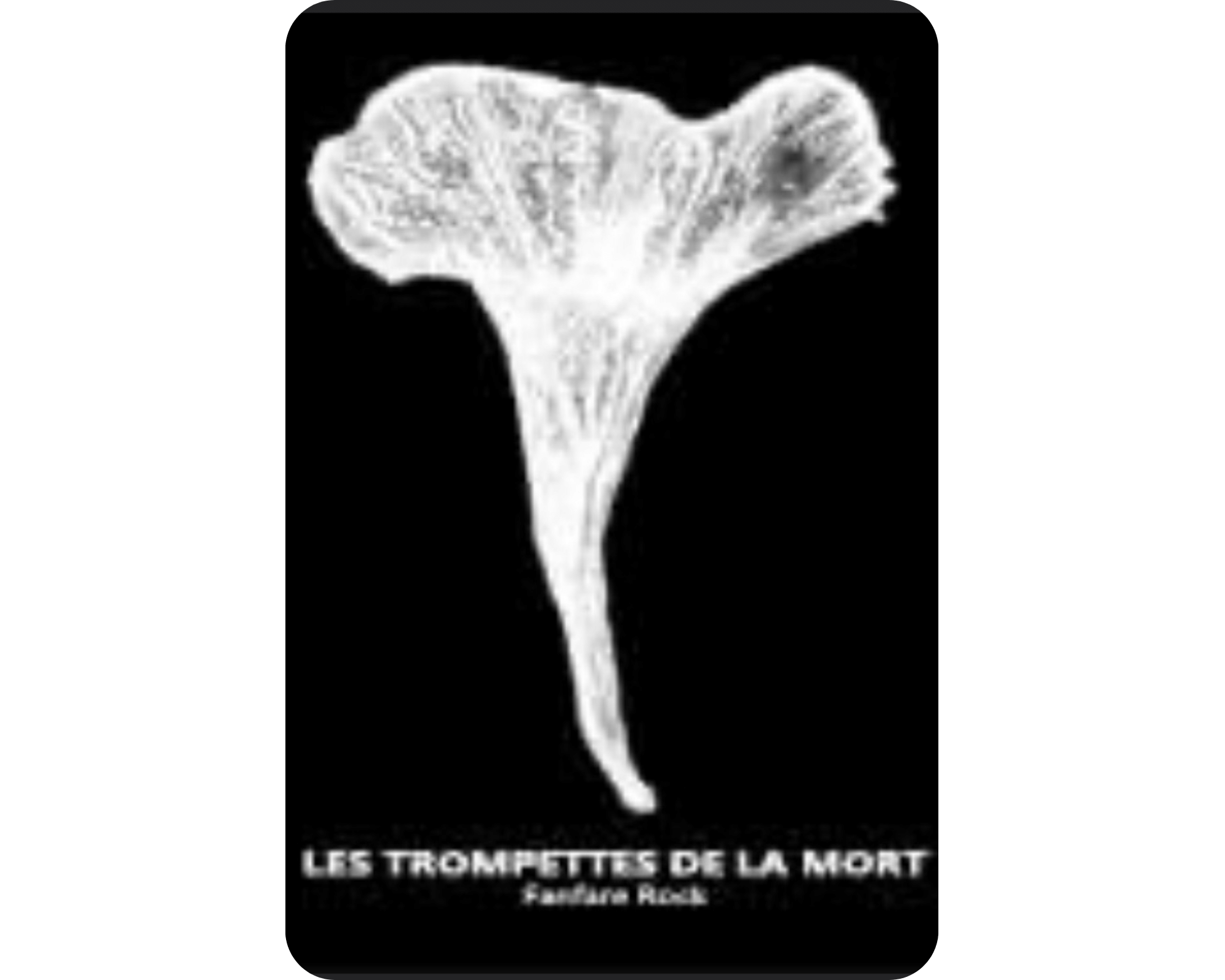Logo Fanfare Les Trompettes de la Mort