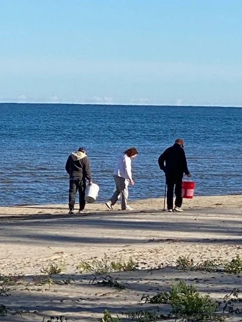 Shore Sweep 09-25.jpeg