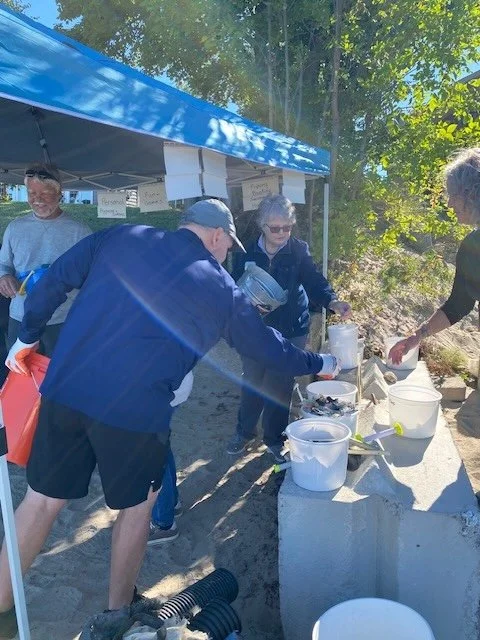 Shore Sweep 09-25 Sorting 2.jpeg