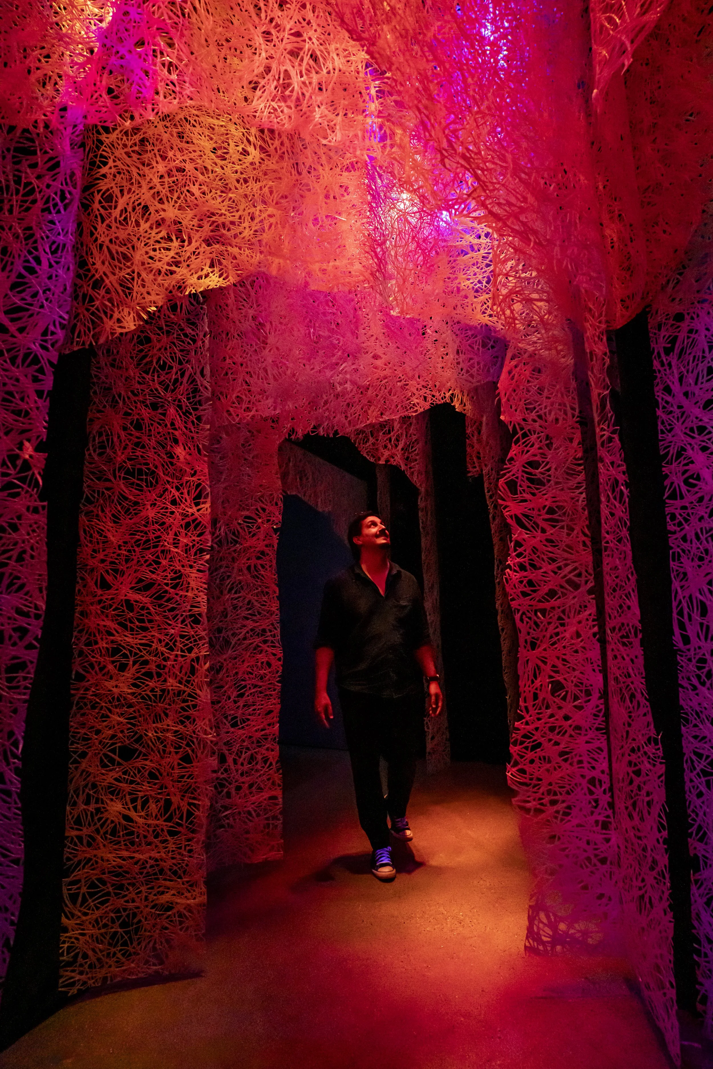 SESO_03-Passage-LightEarth_NSV00419_20260525.jpg