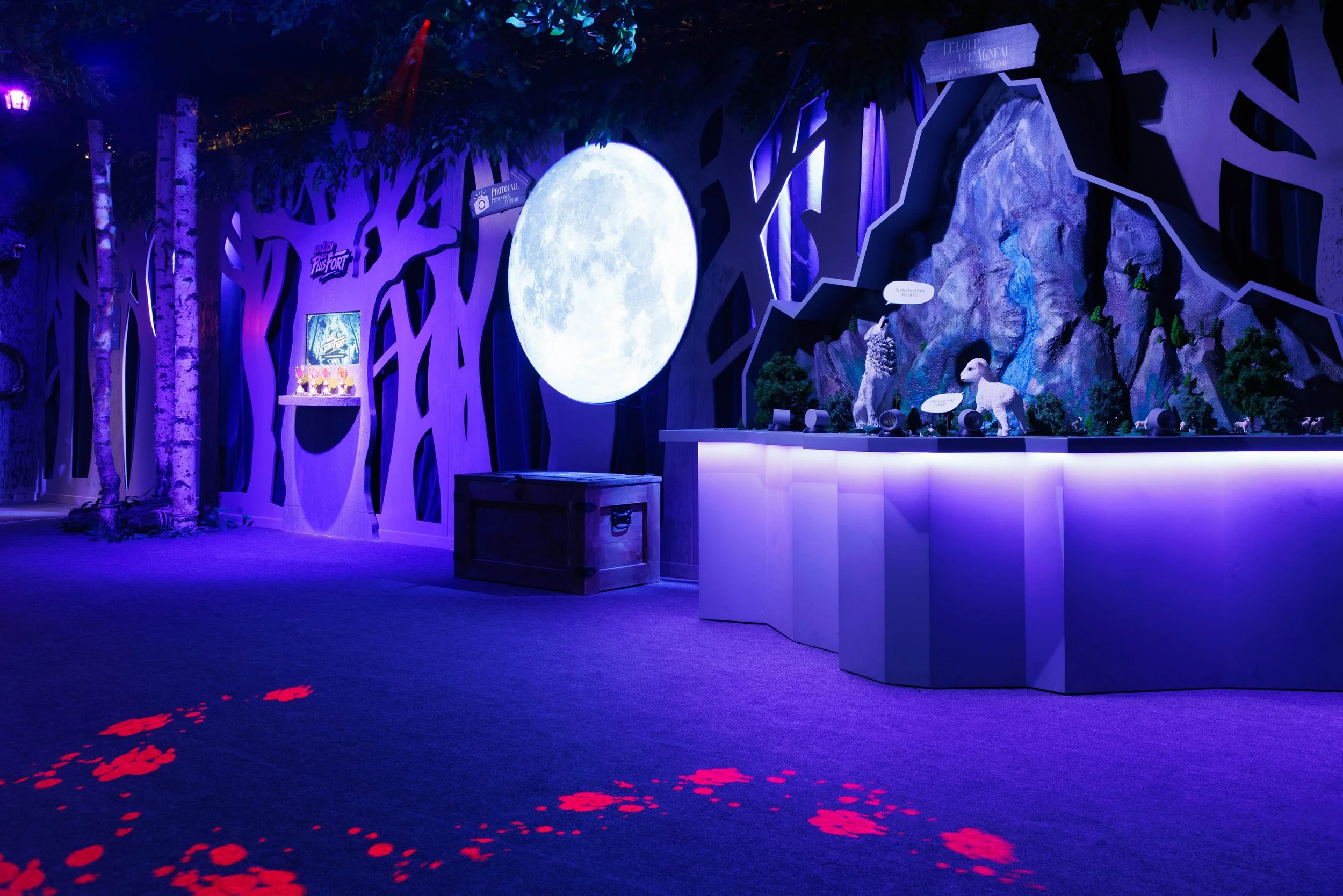 3.1_Loup_16.9 © David_Morganti-Cites_Immersives.jpg