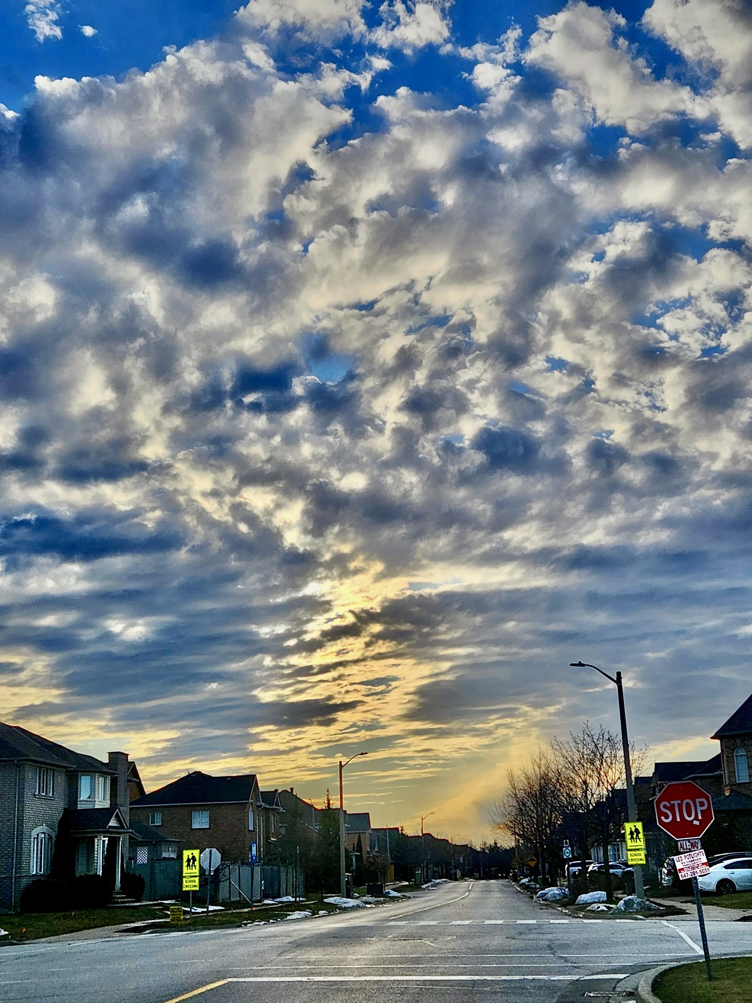 F4D12131-D922-4AA6-A9D7-B2C12CFC5D01_1_201_a.jpeg