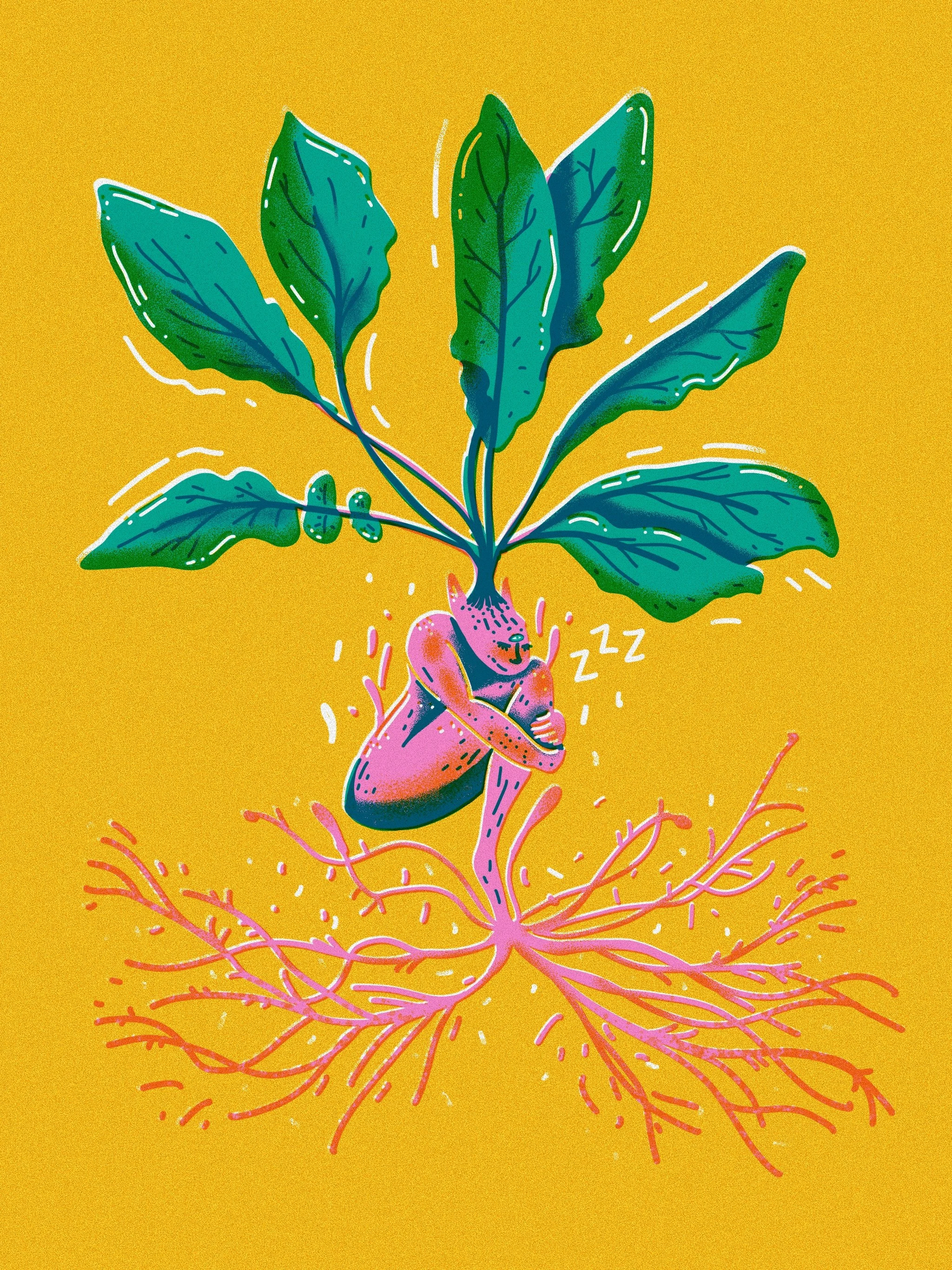 Illustration of a person with a bear's head hugging a large plant that has green leaves and pink roots, on a yellow background.