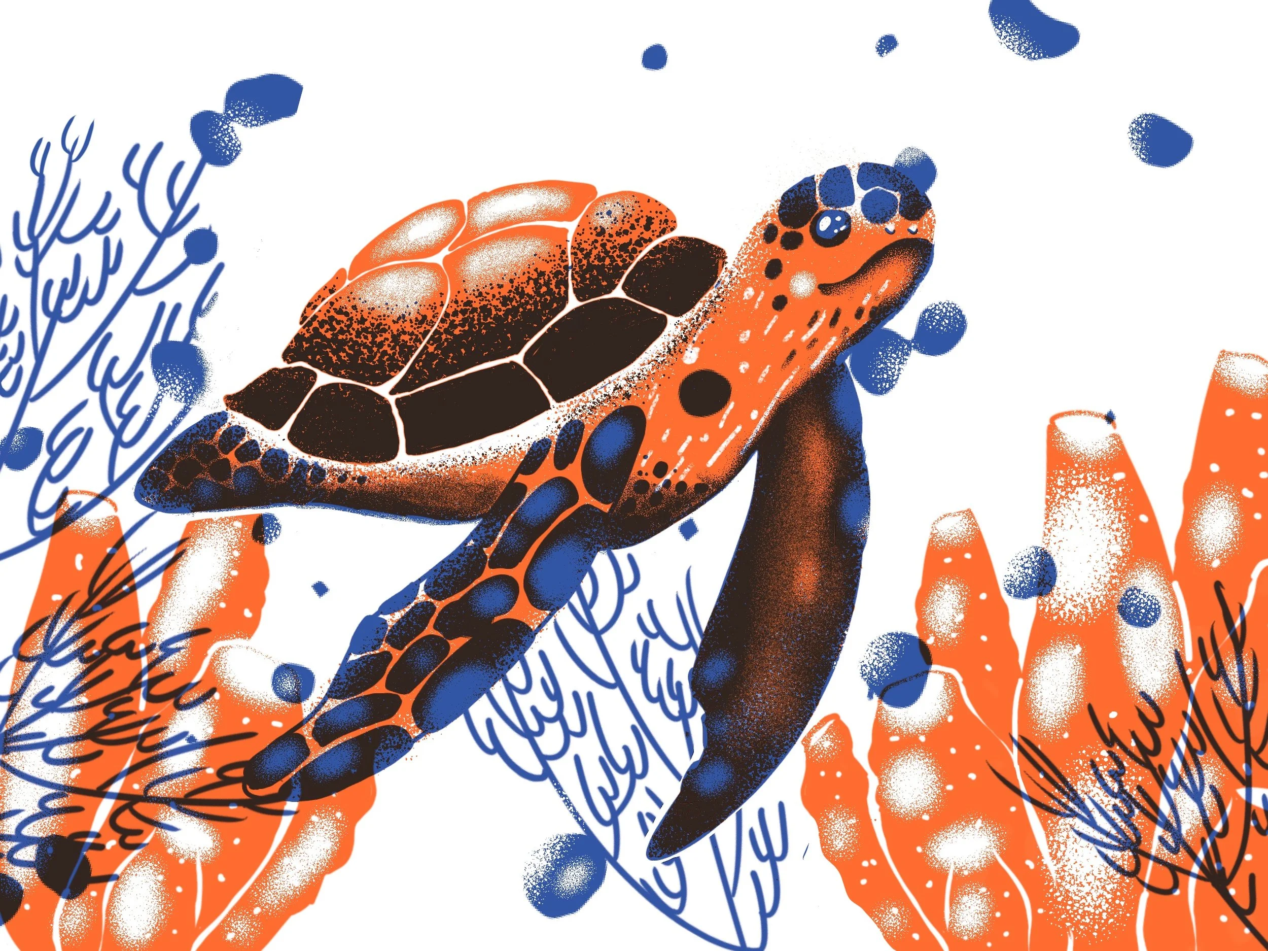 Stylized illustration of a sea turtle swimming among orange coral and blue seaweed.