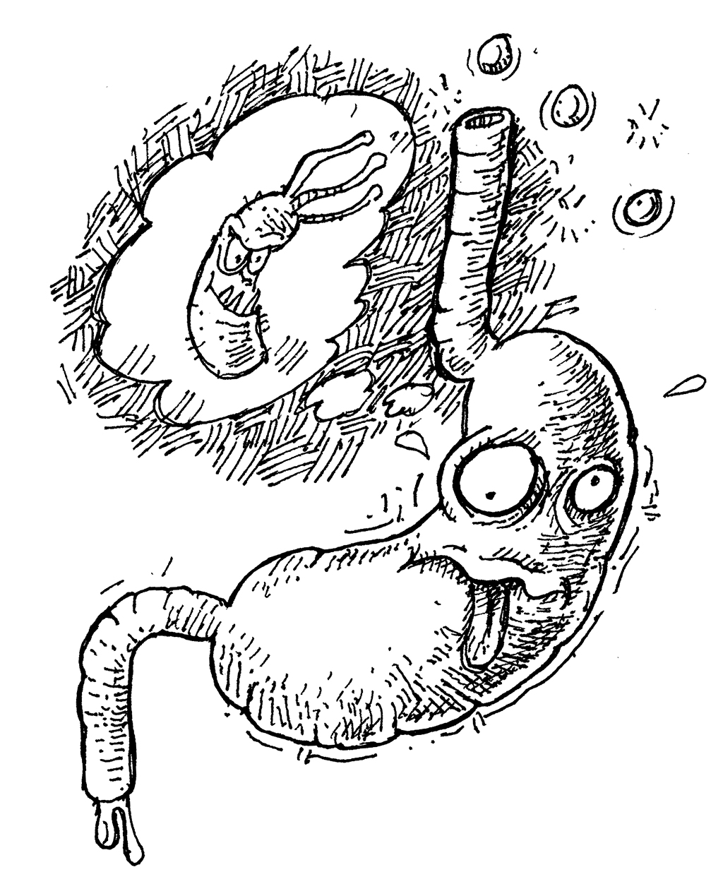 Bacteria in Your Gut and Parkinson's Disease: The Link You Should Read About