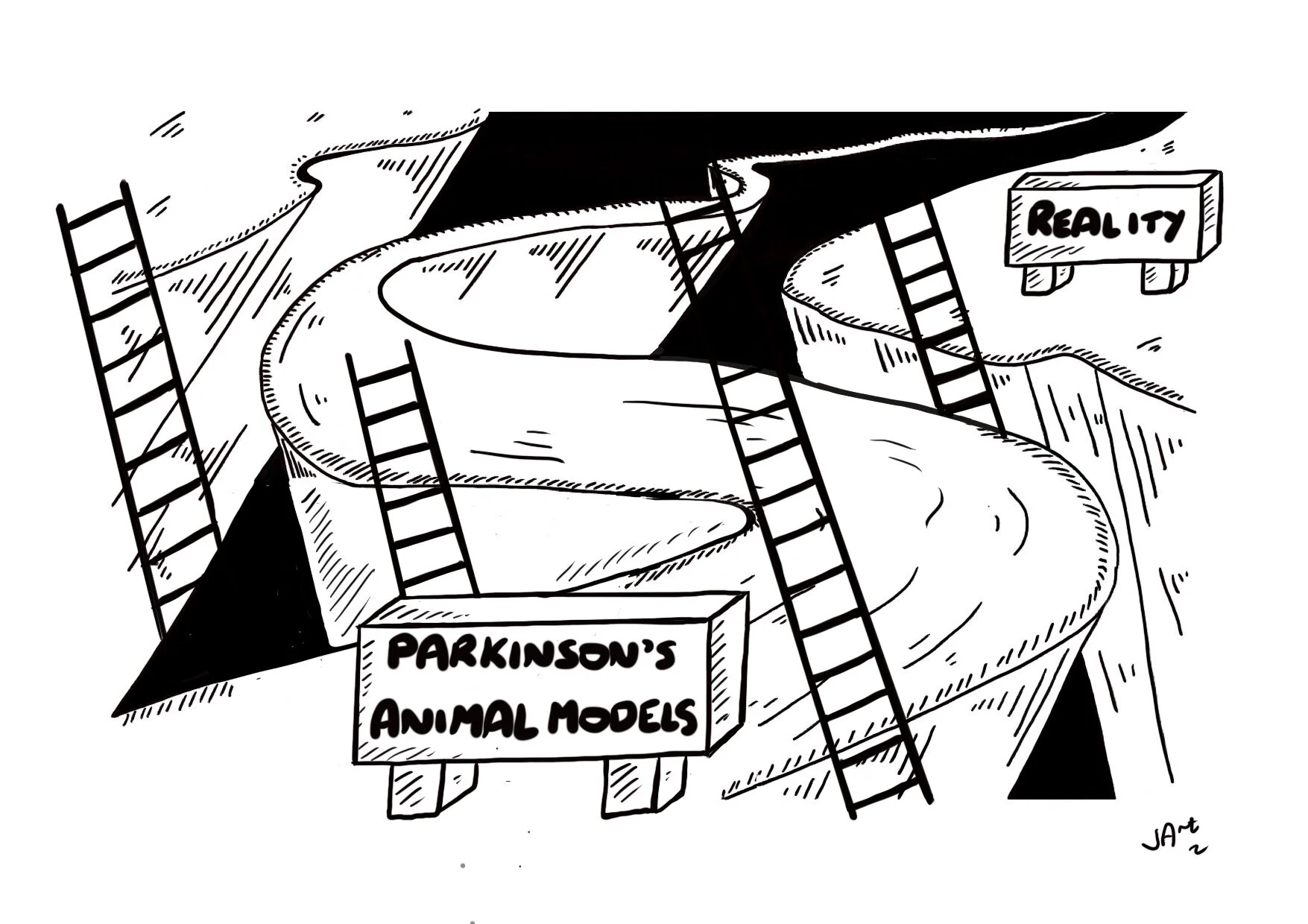 Climbing out of the abyss between animal models of Parkinson's and reality