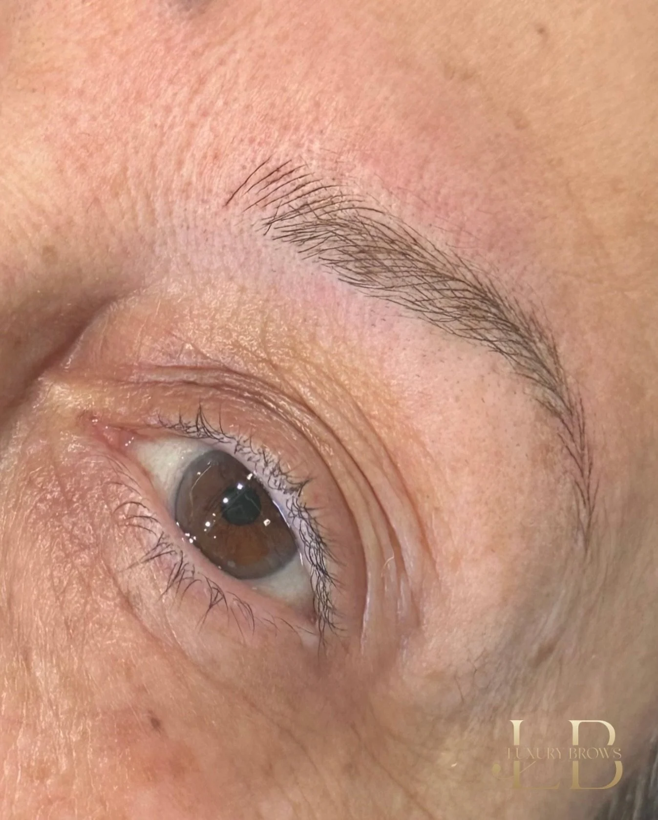 Hyper-Realistic Brows: More Than Just a Tattoo ✨
Creating natural-looking brows is all about precision, placement, and understanding real hair growth patterns.
 
Brows should enhance your features, not overpower them. When done correctly, they look l