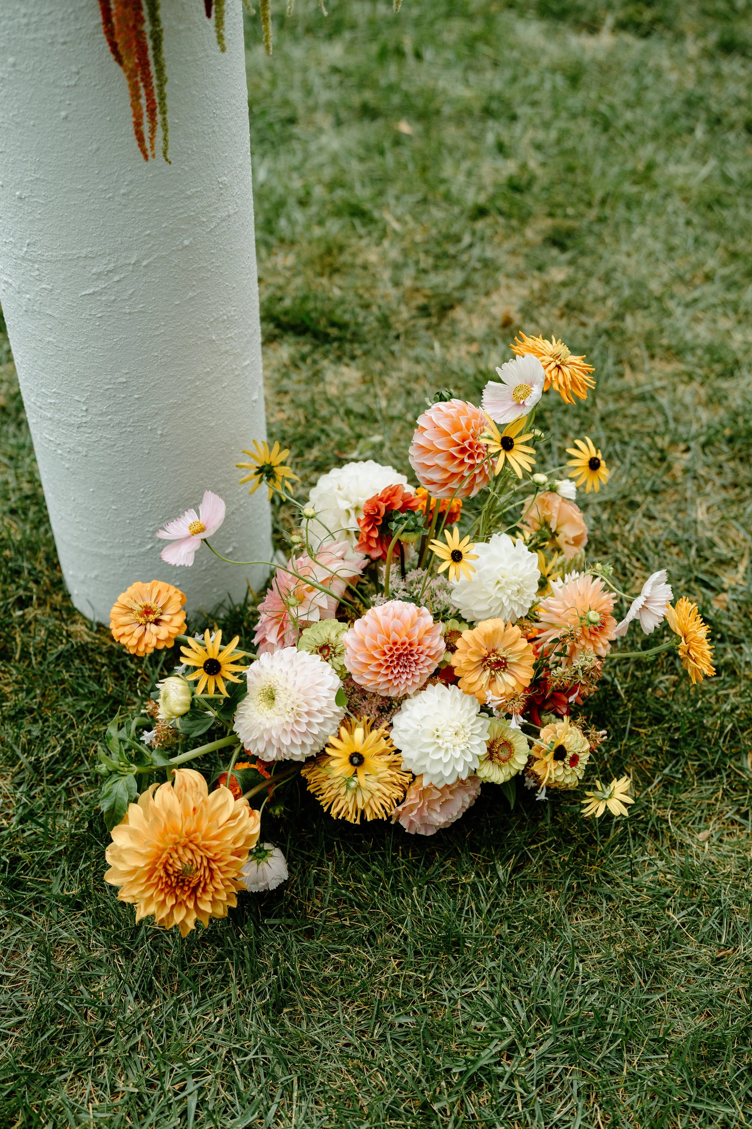 Shoualor Photography