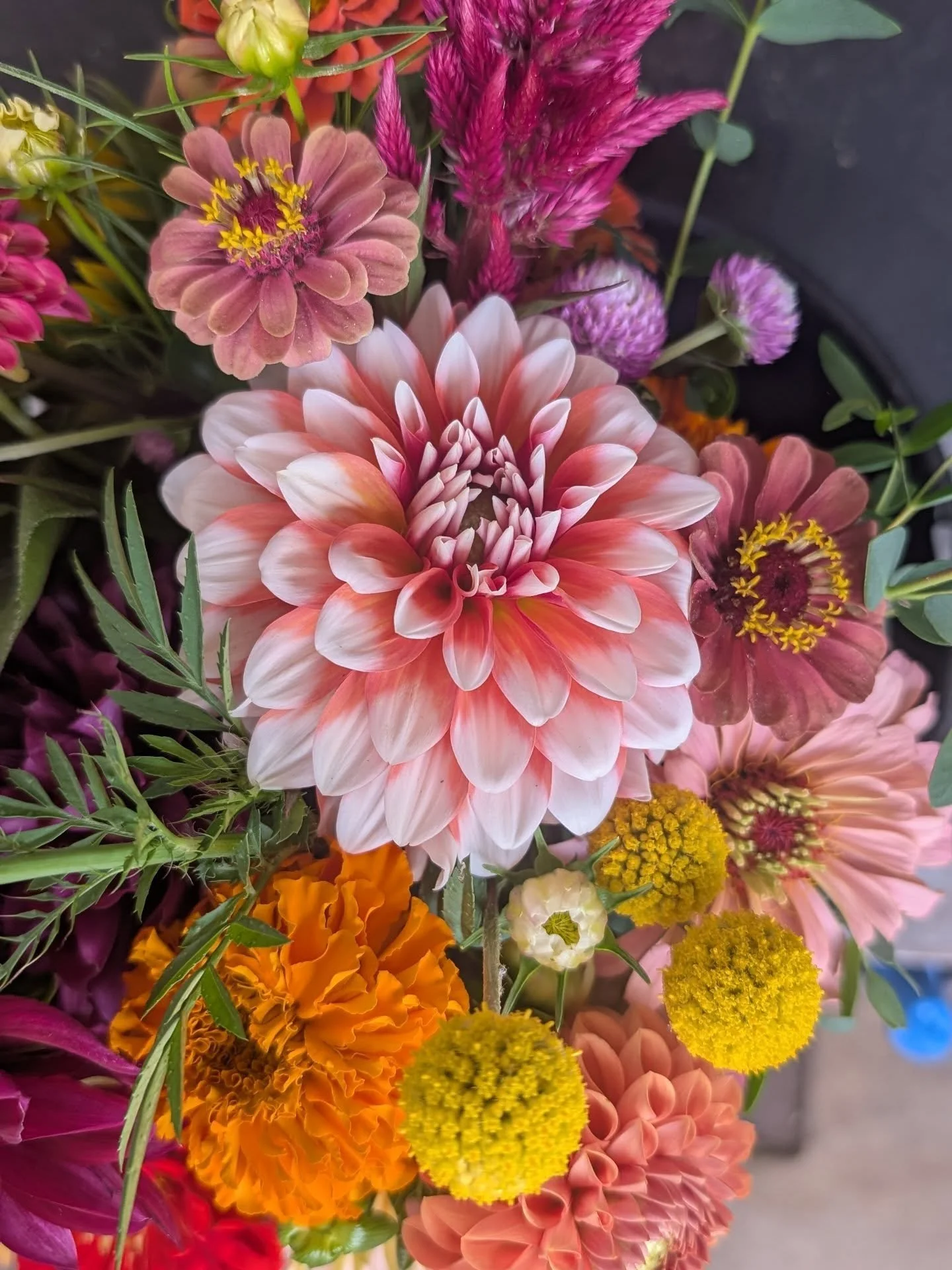 Okay friends, I simply can't end CSA's next week when the dahlias are really just hitting their stride. But I have to be real that the garden is going to slow down it's production as the temps cool, so we're going to limit spots by making this one a 
