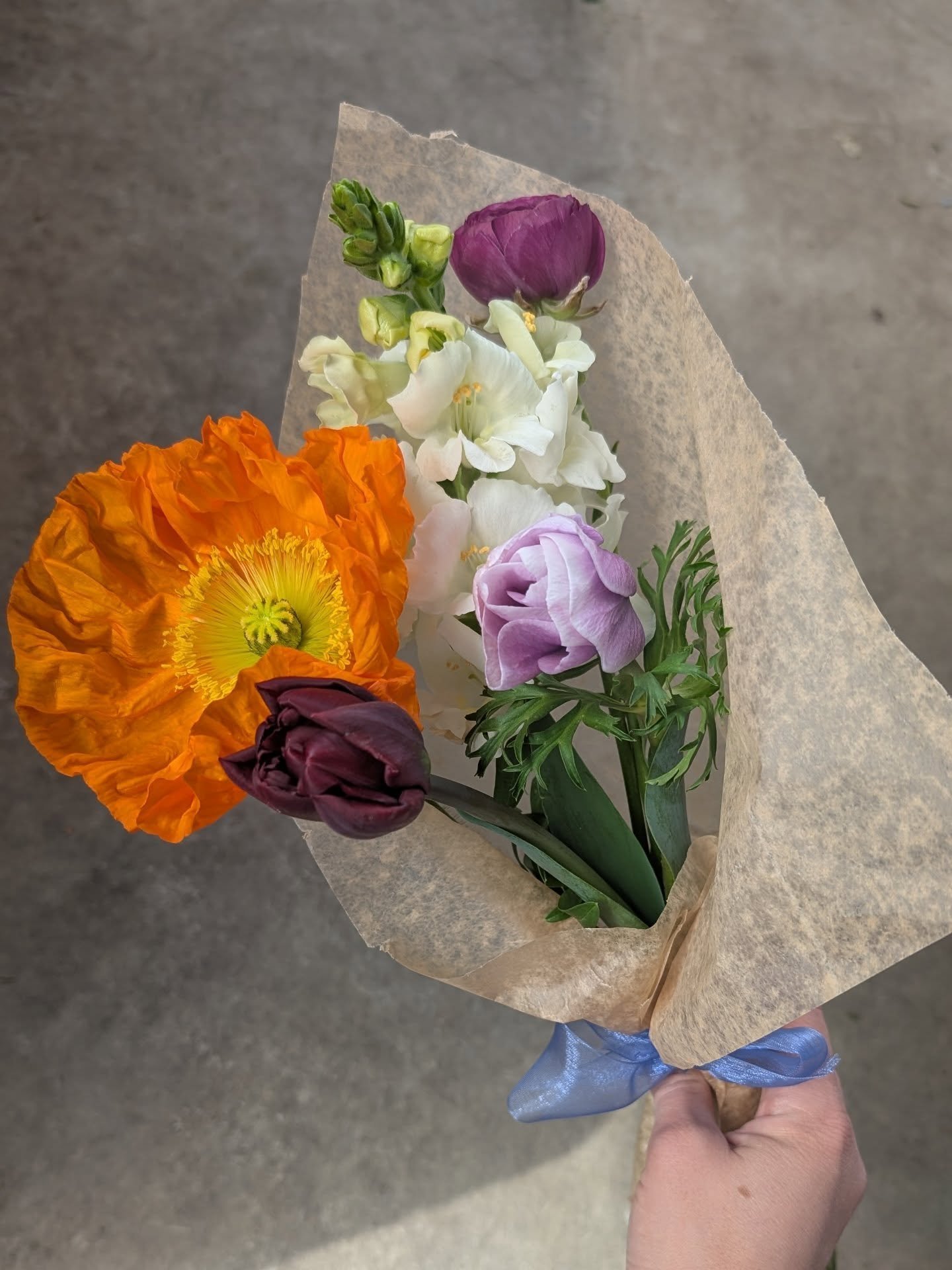 Hi friends! 

It's almost April and I almost have First Light flowers for you! But for now, we are lucky enough to live in a place with local growers who are pushing the seasonal boundaries and have amazing flowers blooming in a big way already. 

Il