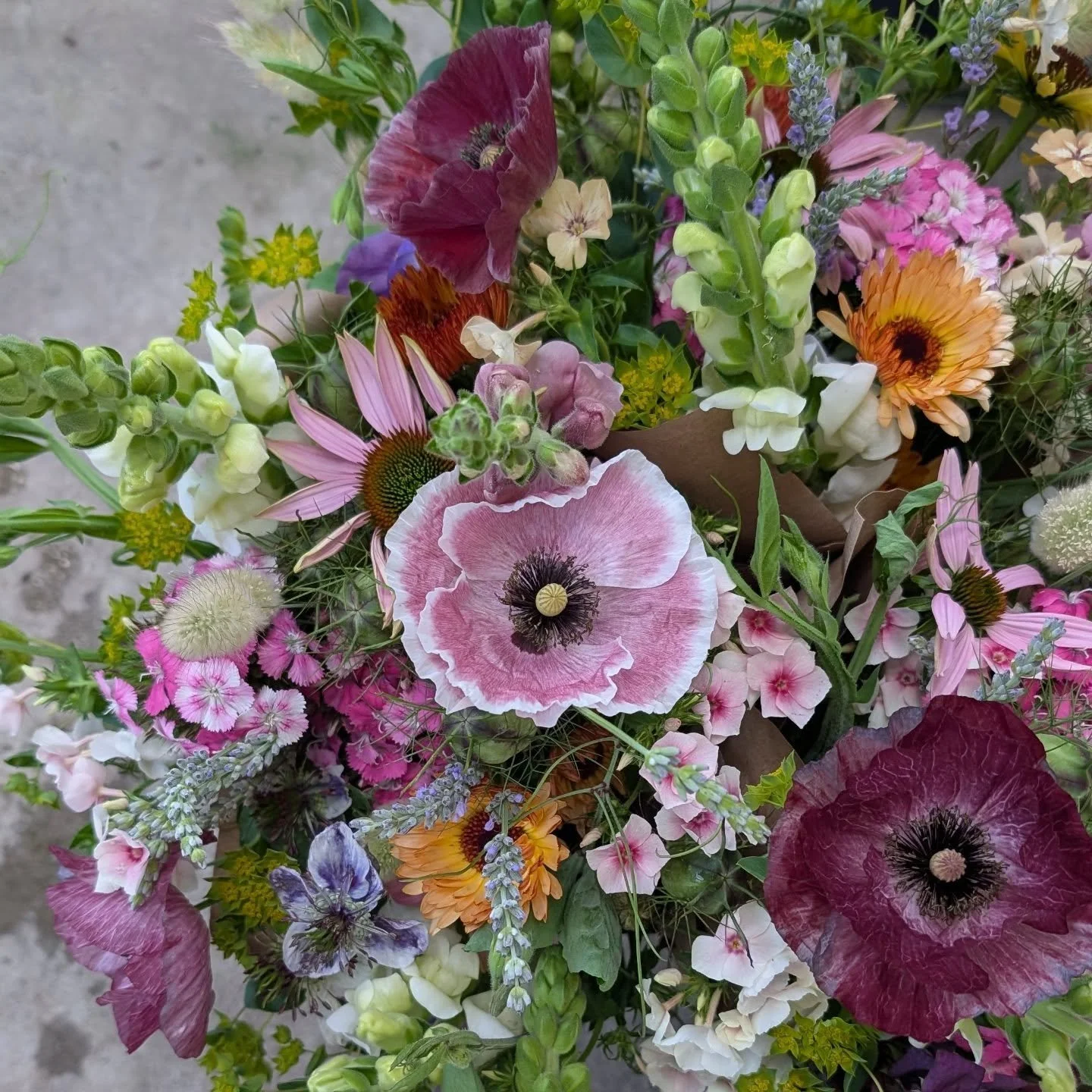 The time has come! The first CSA of the season highlights wildflowers grown right here at First Light. Claim your subscription before we sell out! 

4 weeks starting June 1st
1 bouquet per week
$22+ tax per bouquet, $93.28 total
Pick up porch side in