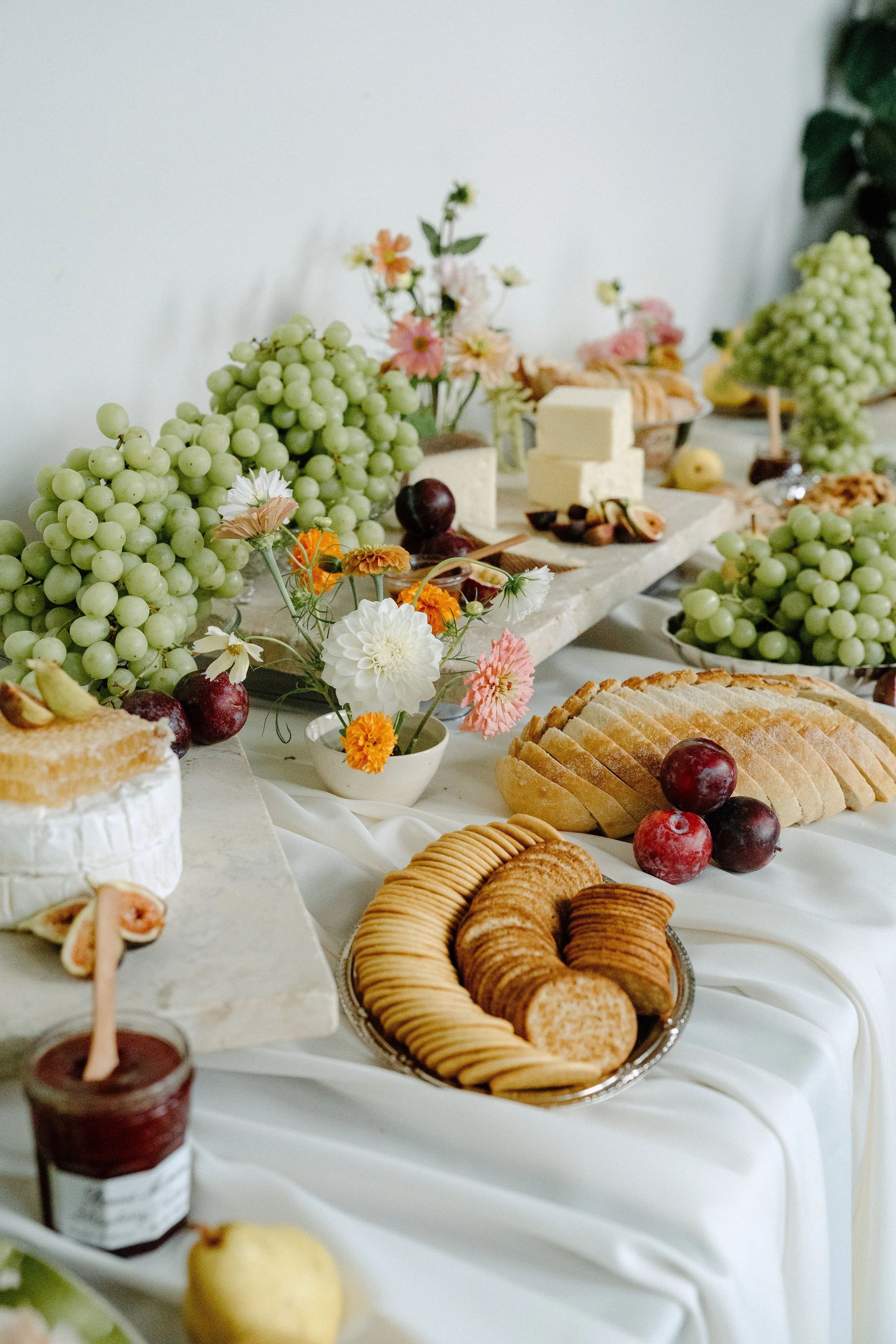 Shoualor Photography