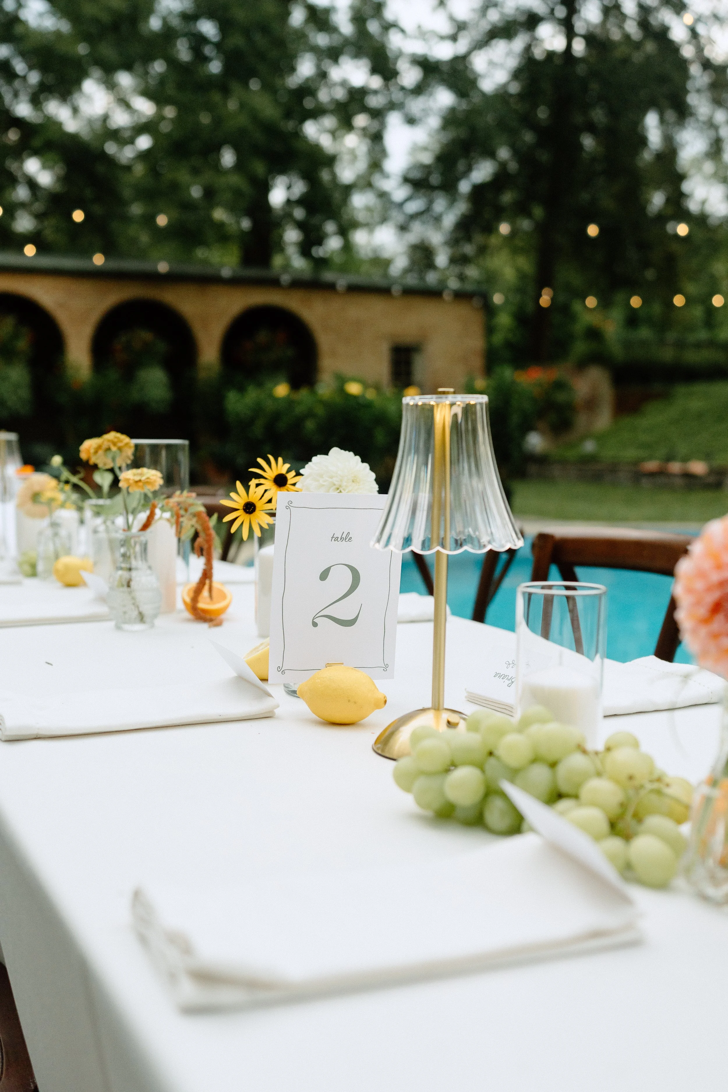 Shoualor Photography