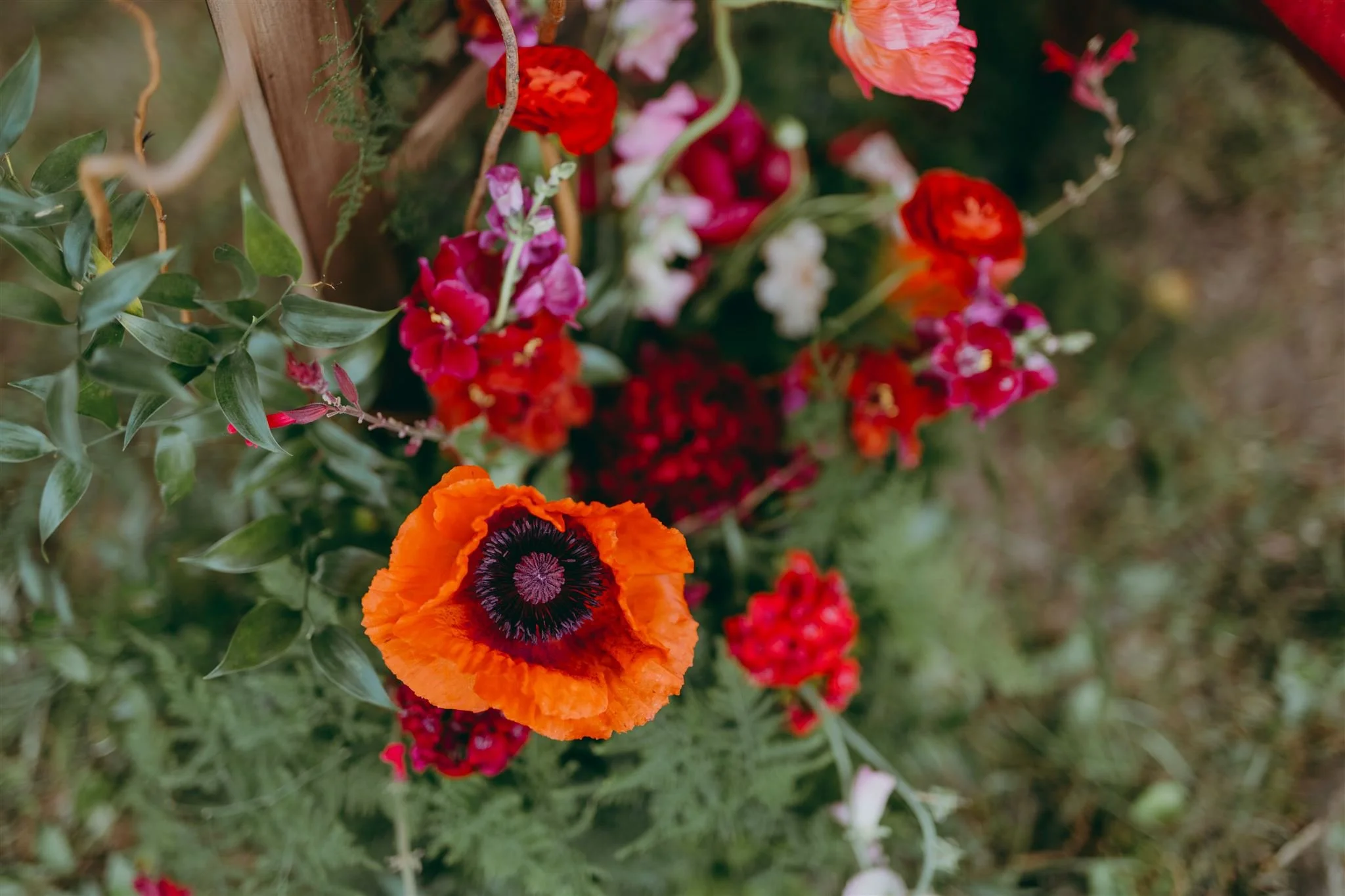 Tea Ceremony23_websize.jpg