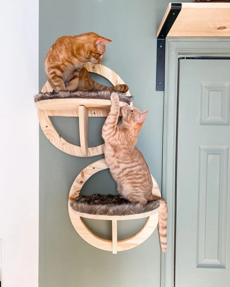 Diy wall top mounted cat bed