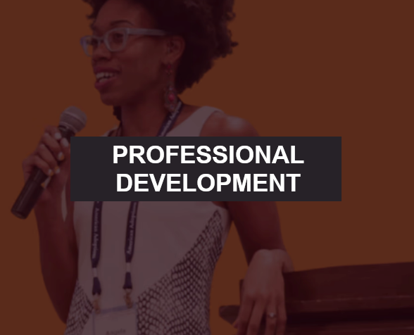 PROFESSIONAL DEVELOPMENT