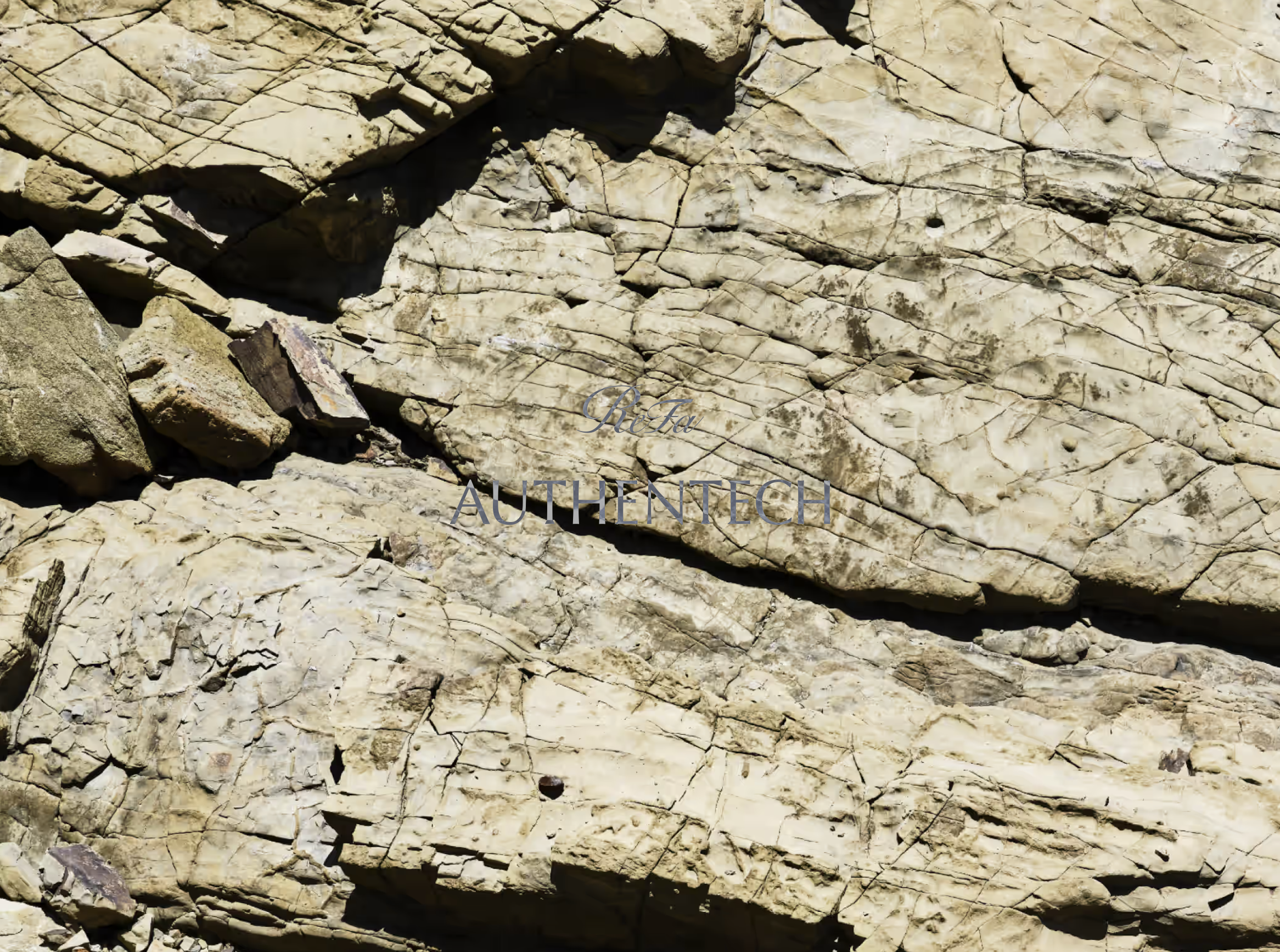 スクリーンショット 2025-12-26 0.38.47.png