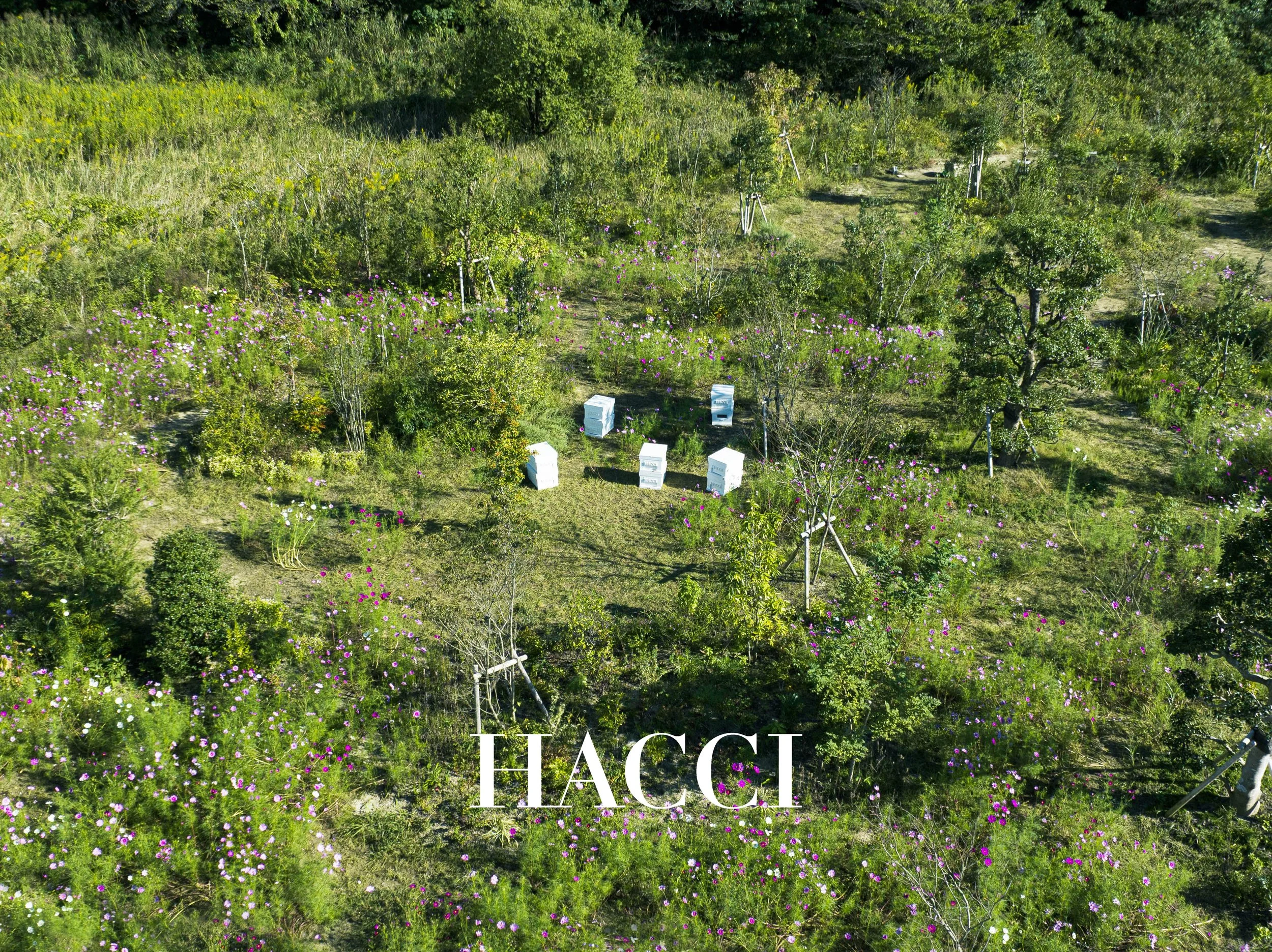 https://www.baksproject.com/work/hacci-bee-farm