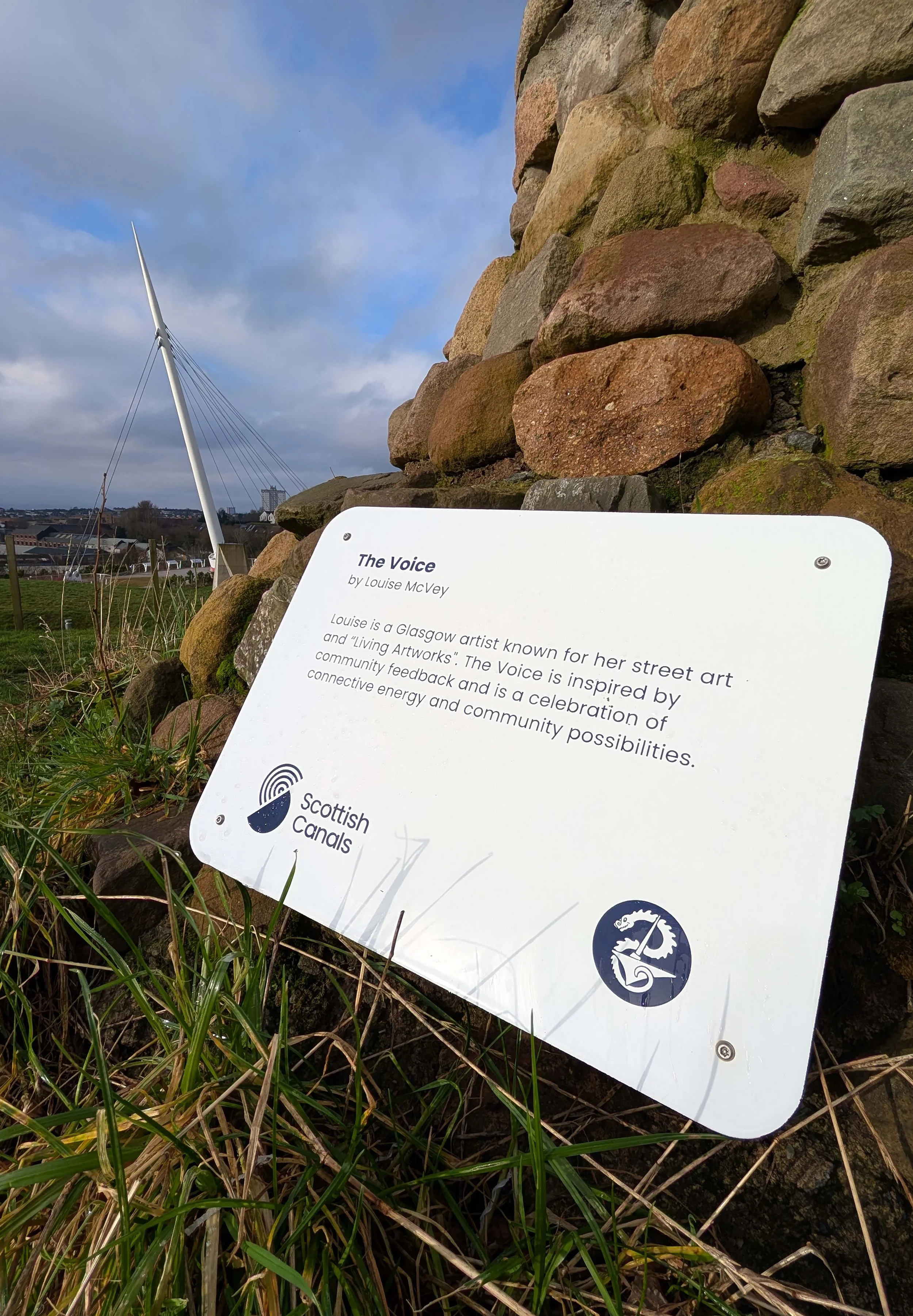 The Voice in situ lo.jpg