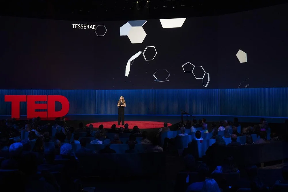 TED - stage - assembling.jpg