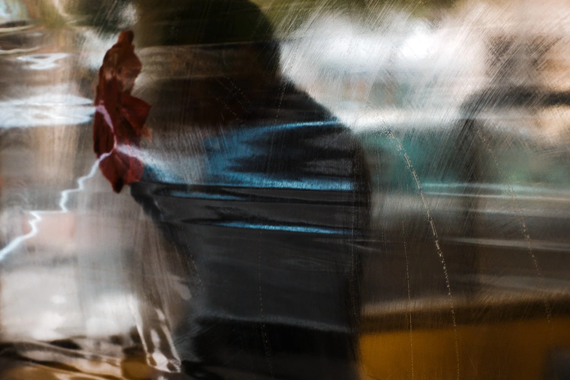 22.10.22 - Luis Olivan Tenorio - L1050891.jpg