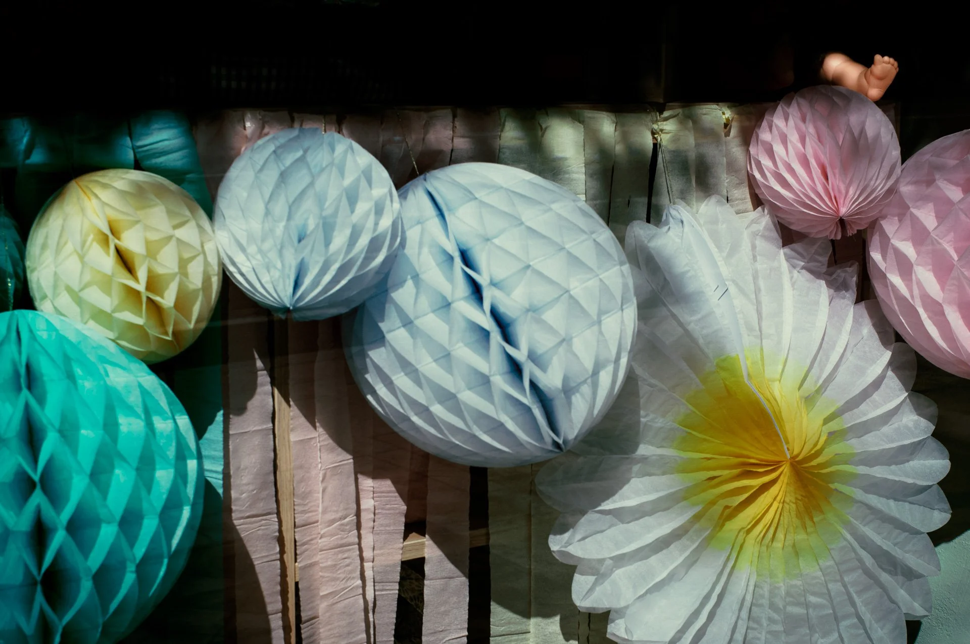 24.04.27 - Luis Olivan Tenorio - L1009323.jpg