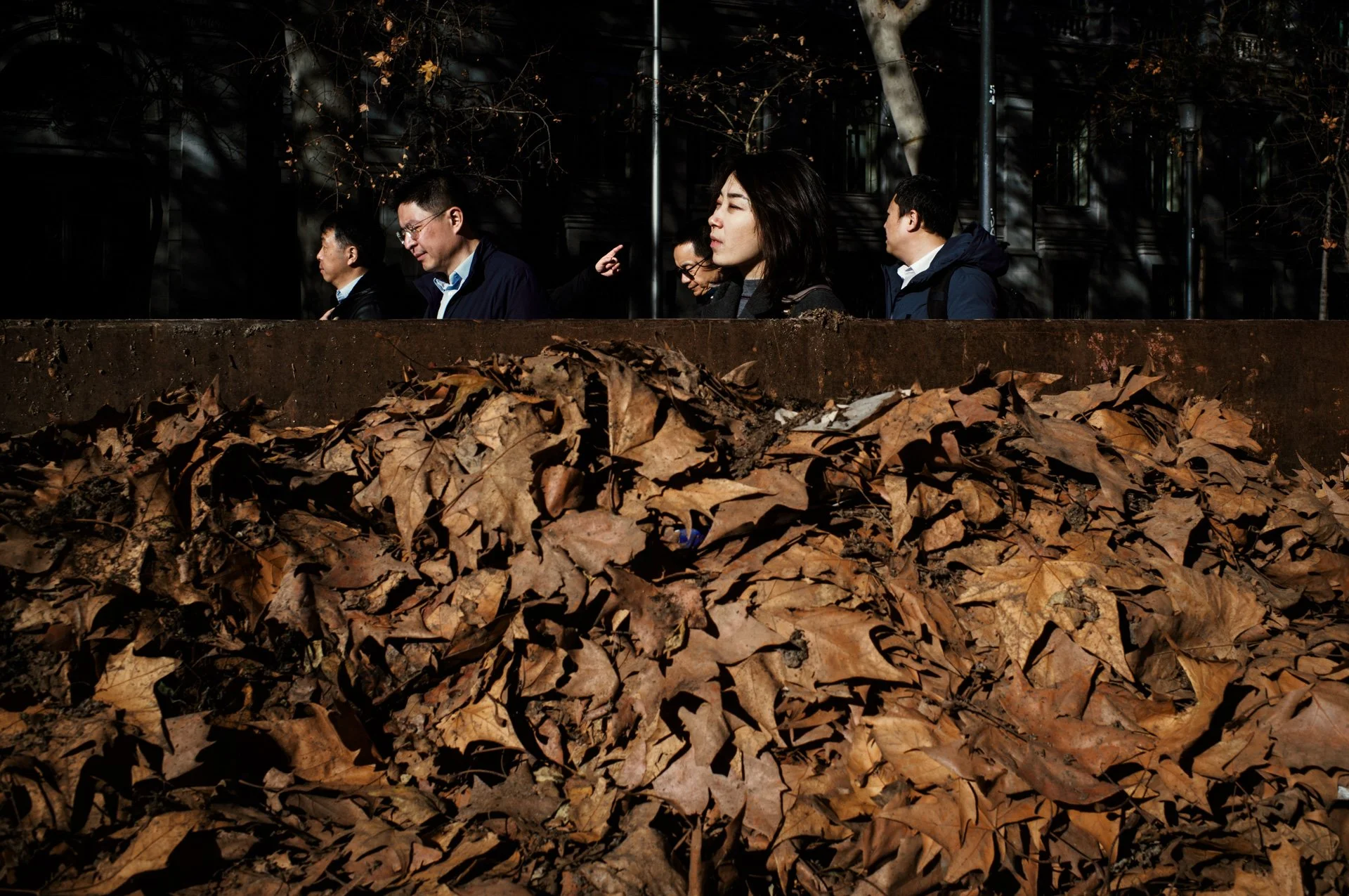 25.01.11 - Luis Olivan Tenorio - L1000774.jpg