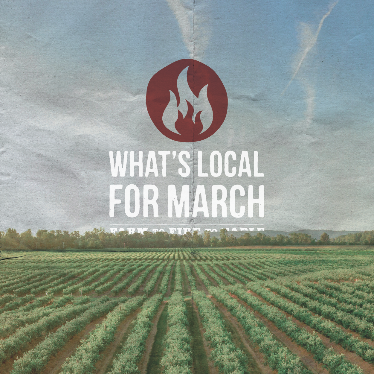 A farm field with rows of green crops and a cloudy sky in the background, overlaid with a fire icon and text about local events in March.