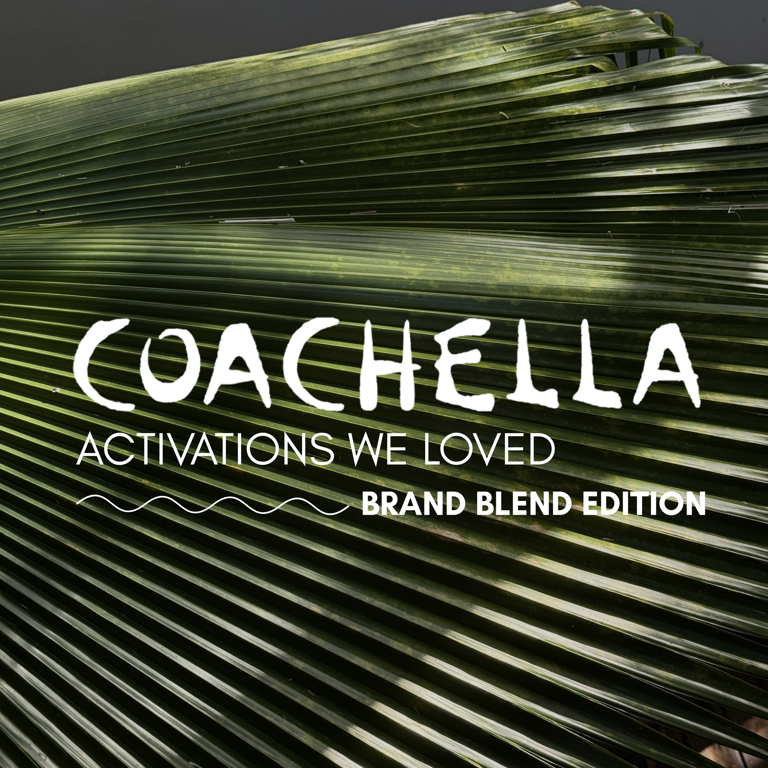 Coachella's Biggest Brand Collabs Teach Small Businesses How to Show Up